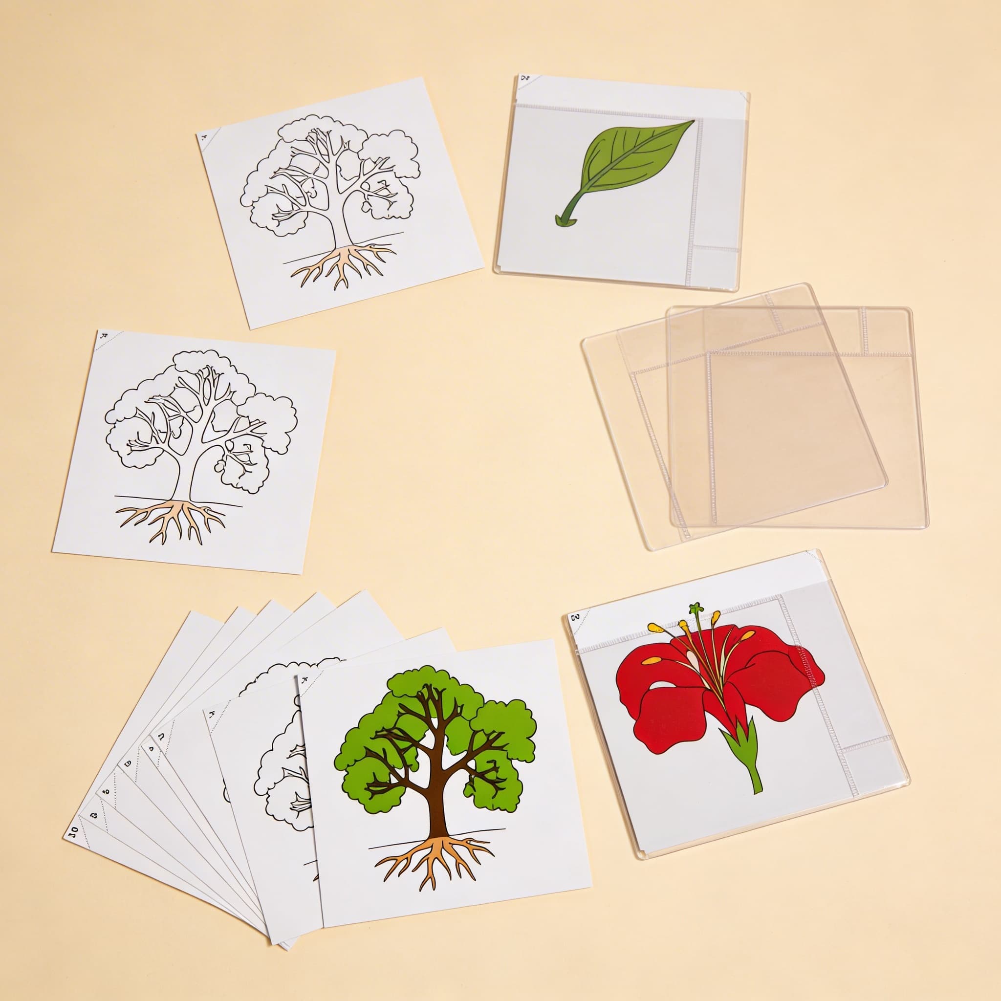 Erstes Set Botanikkarten — Ansicht 2