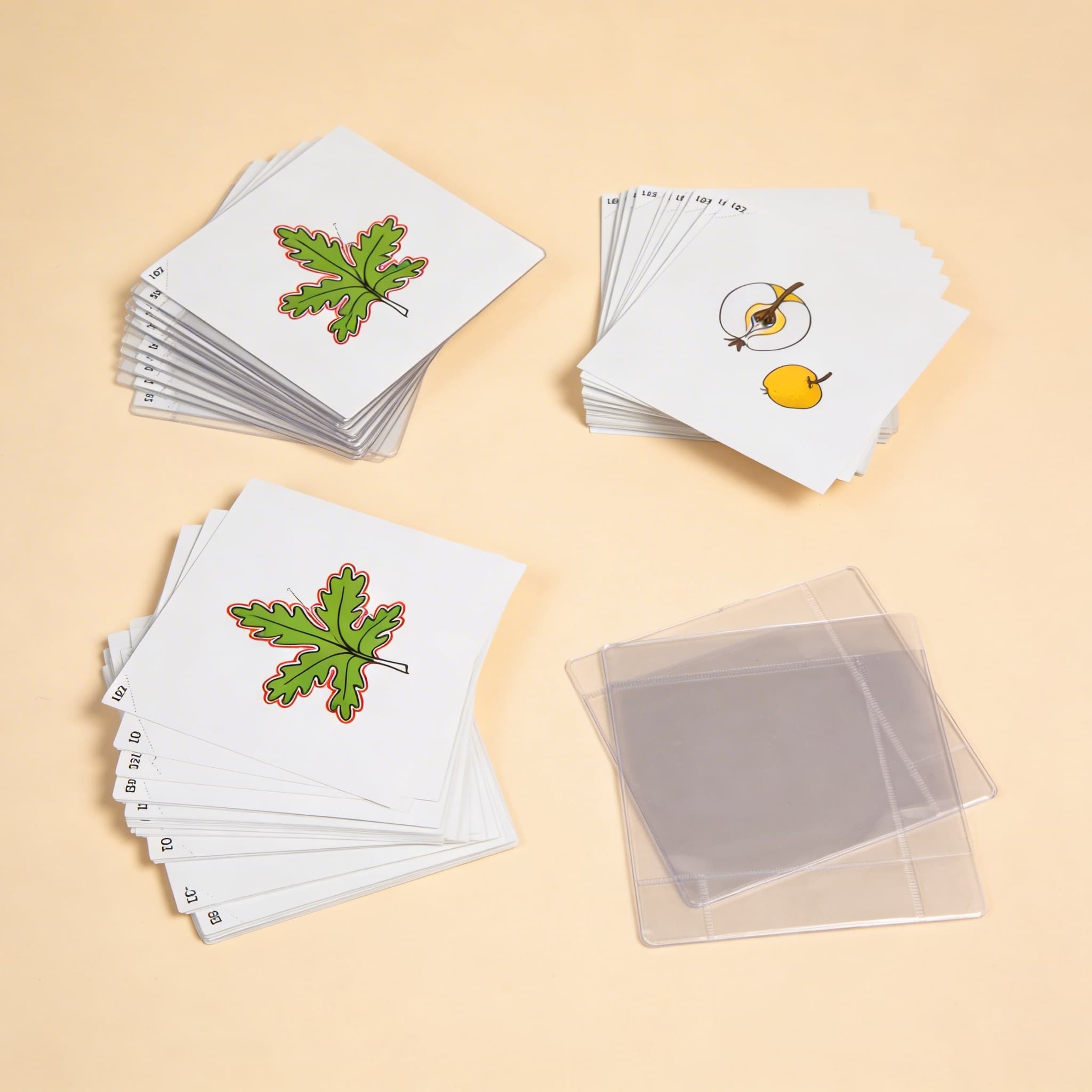 Botanik-Karten Set 3 — Erweiterte Pflanzenstudien — Seitenansicht