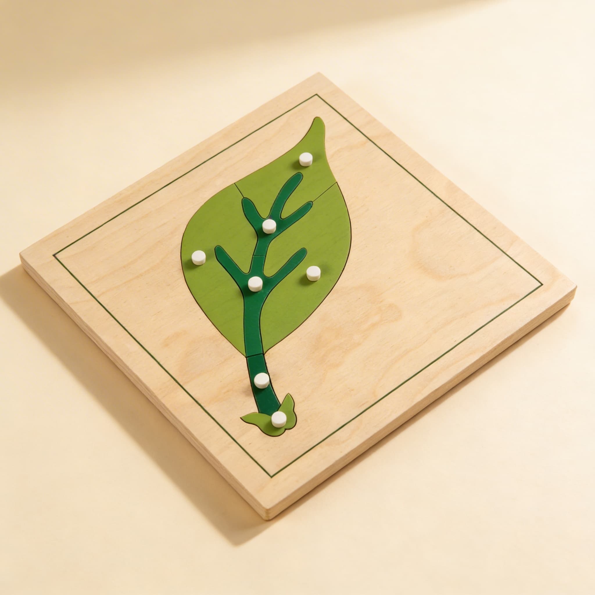 Botanik-Puzzle: Blatt — Ansicht 2