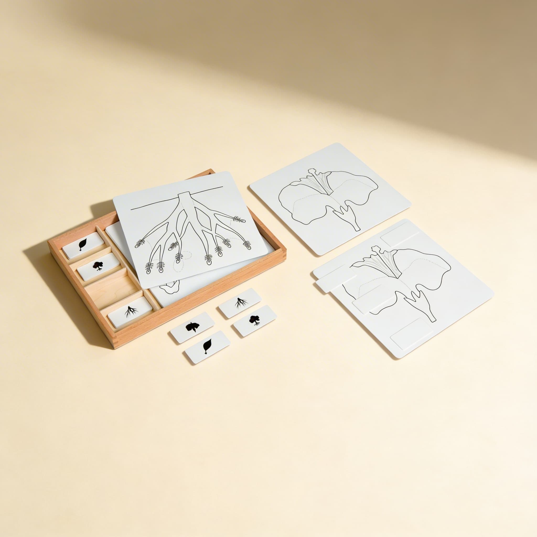 Souprava aktivit k botanickým skládačkám — Boční pohled