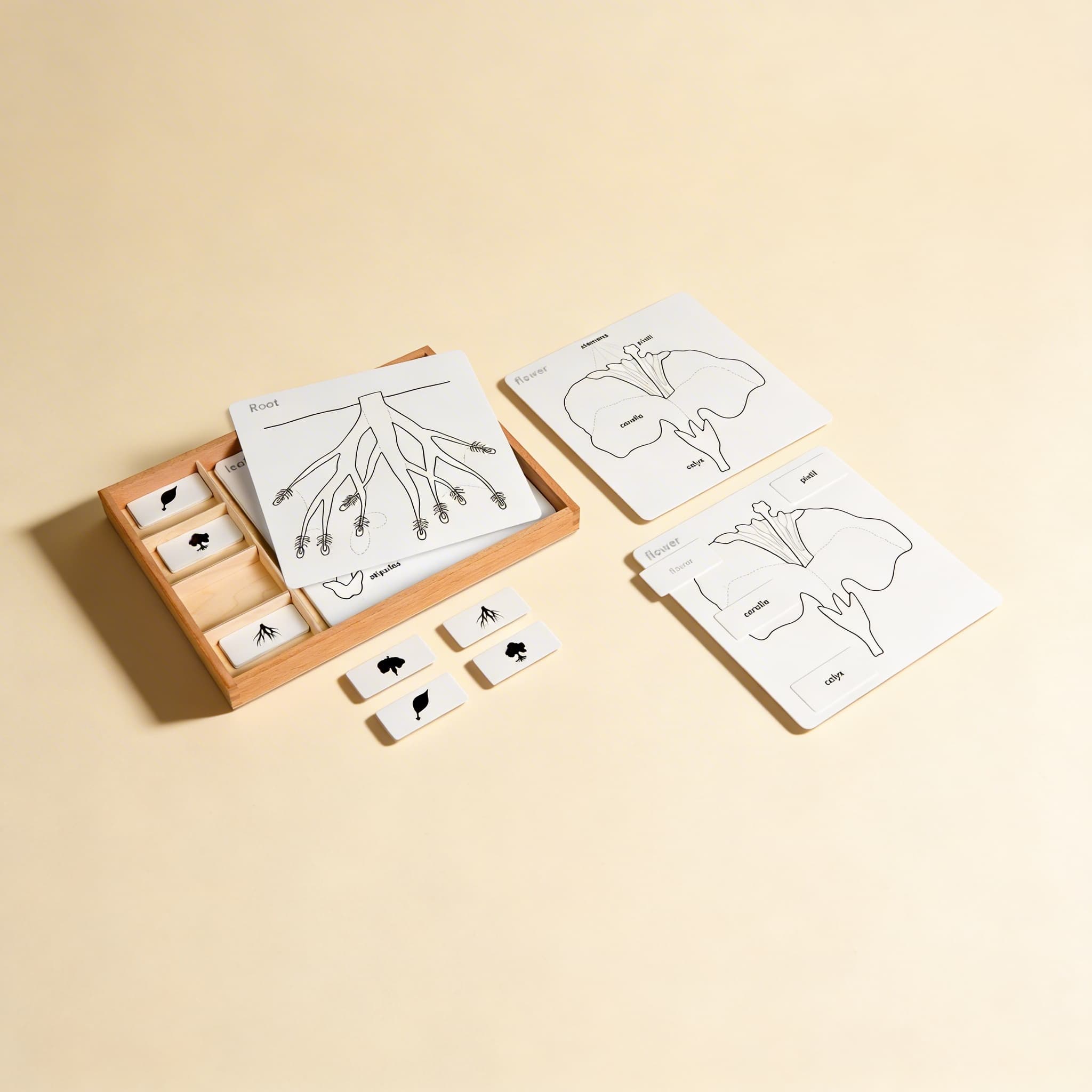 Souprava aktivit k botanickým skládačkám — Katalogový pohled