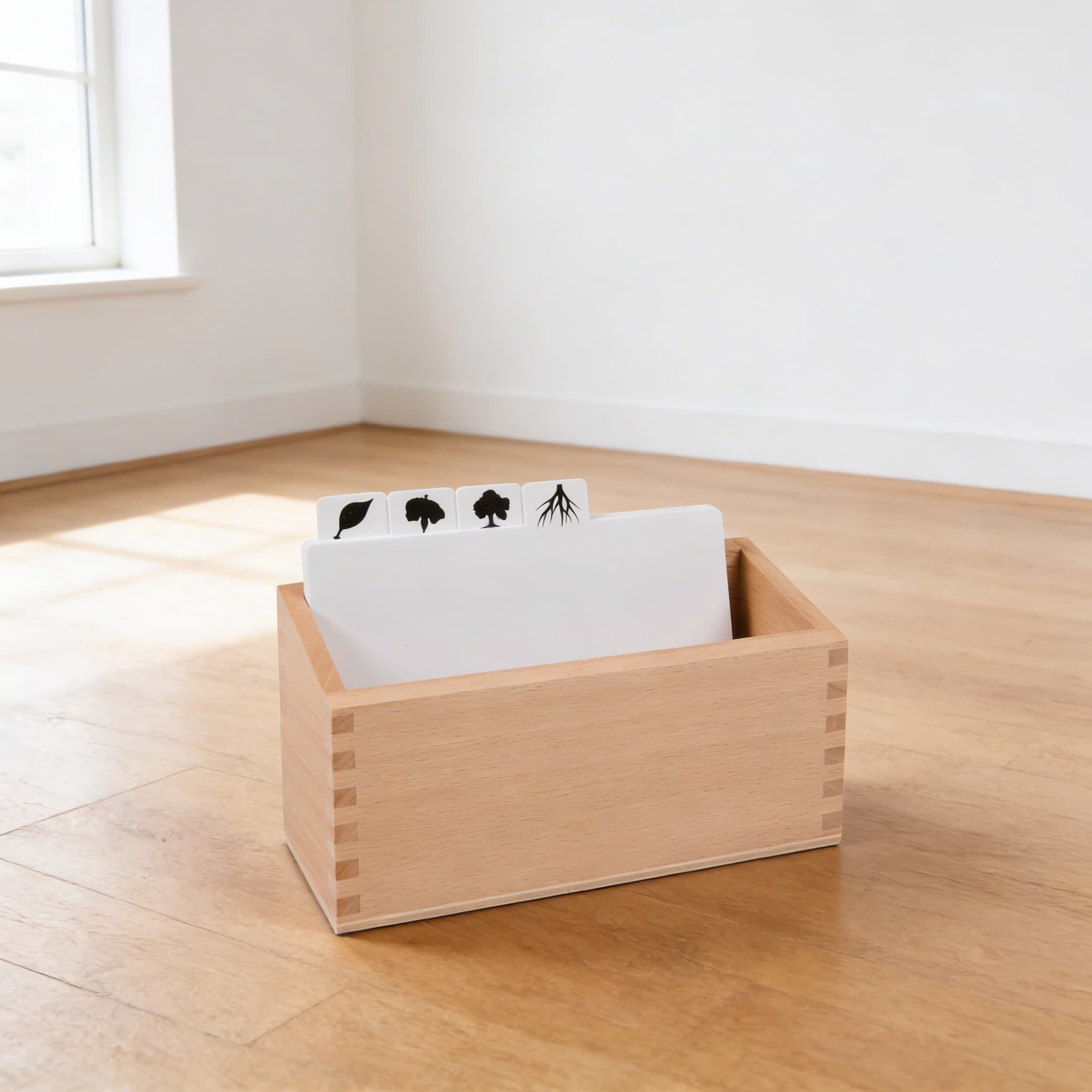 Botanik-Puzzle Kopiervorlagen-Box — Schablonen für Kabinett-Erweiterungen — Seitenansicht