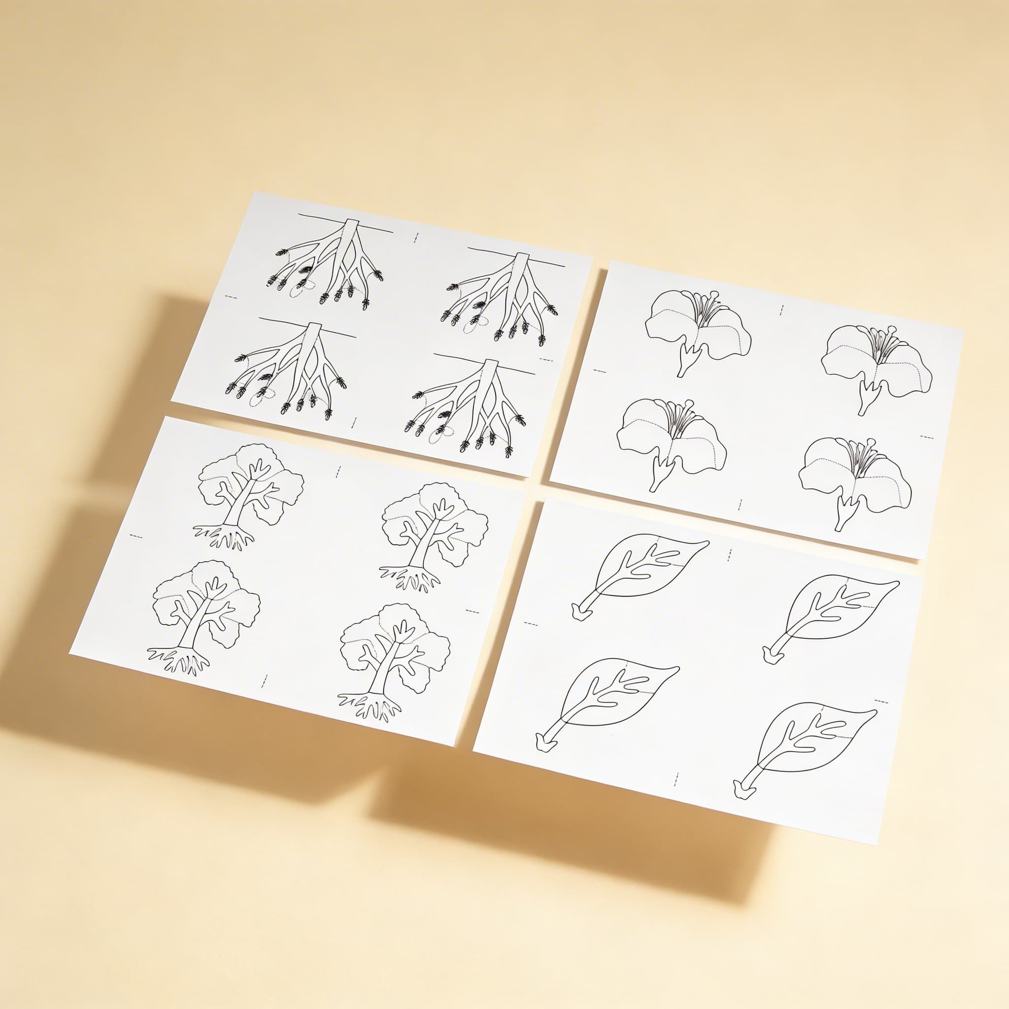 Botanik-Puzzle: Kopiervorlagen — Ansicht 2