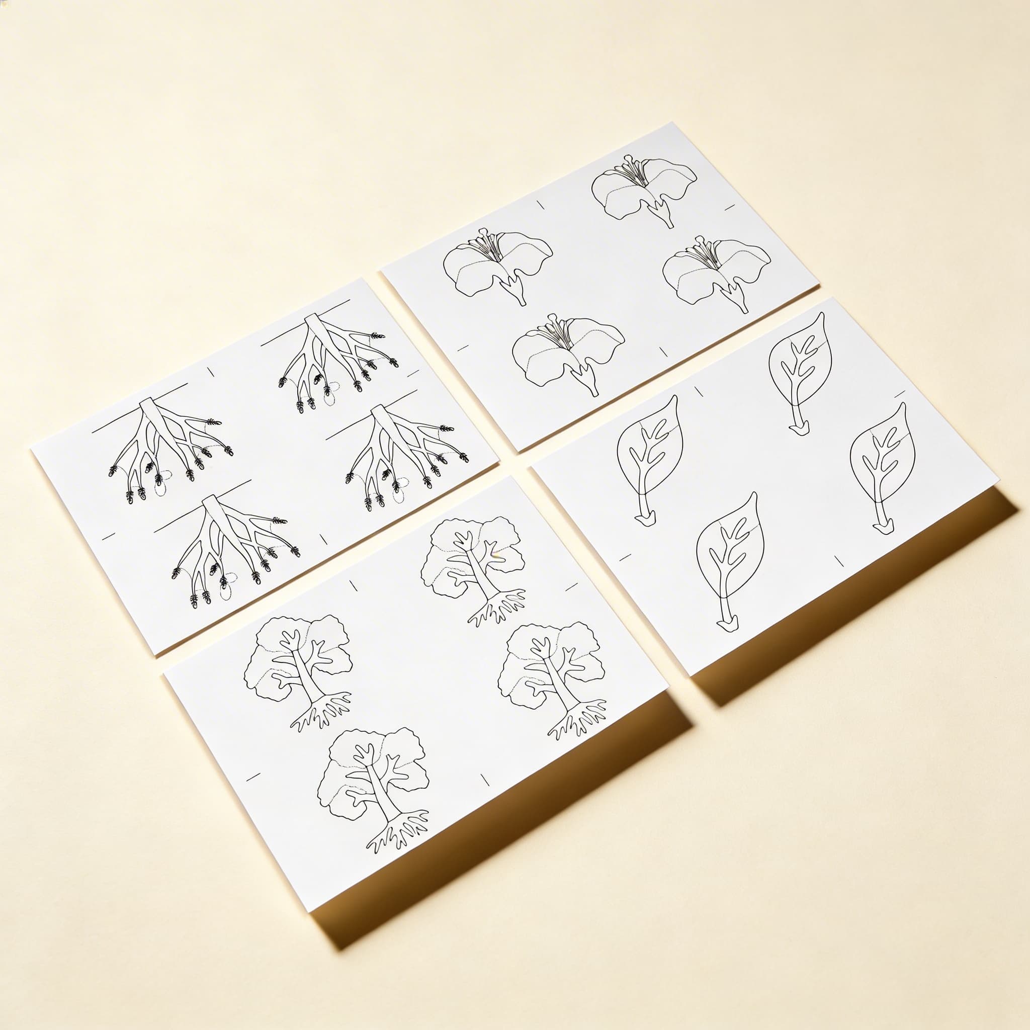 Botanik-Puzzle: Kopiervorlagen