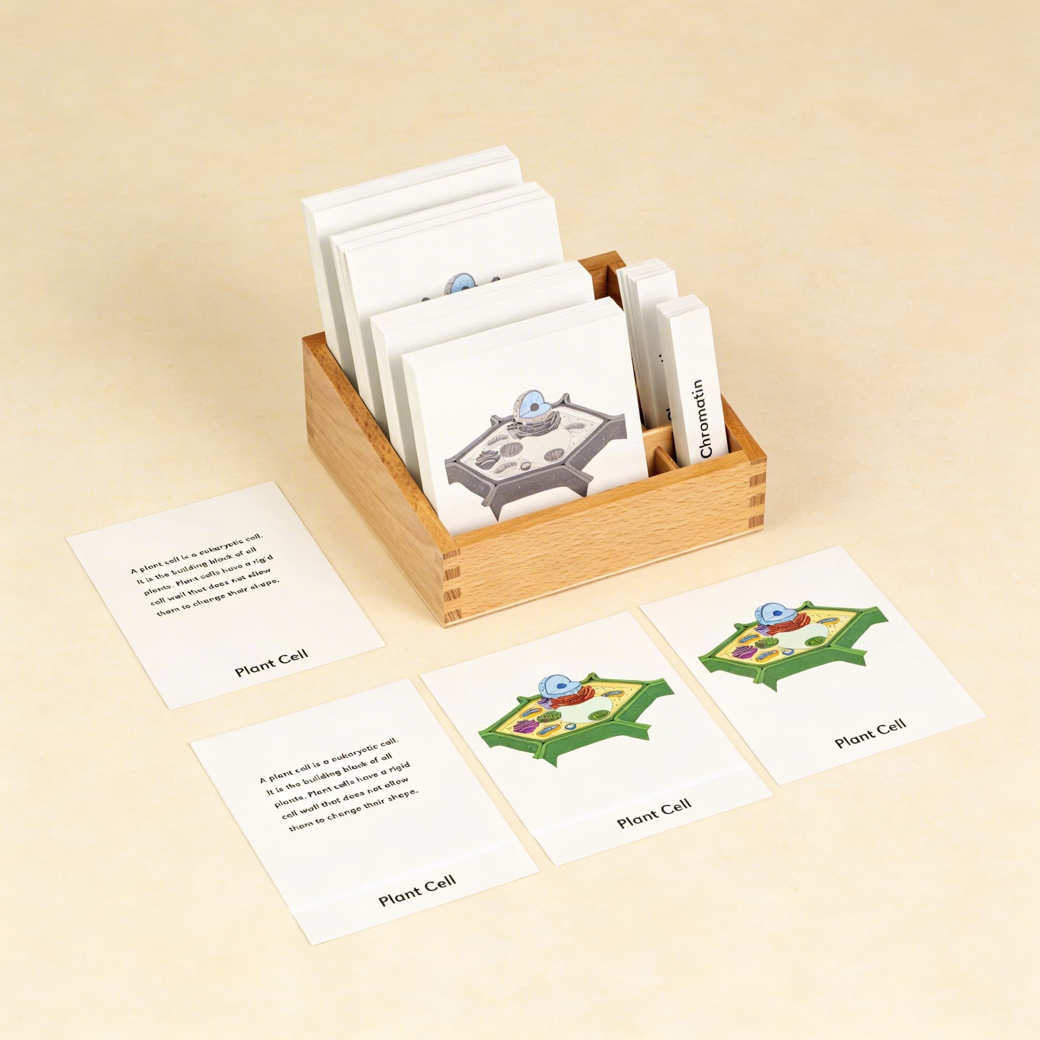 Nomenklartúrne karty rastlinnej bunky — Katalógový pohľad