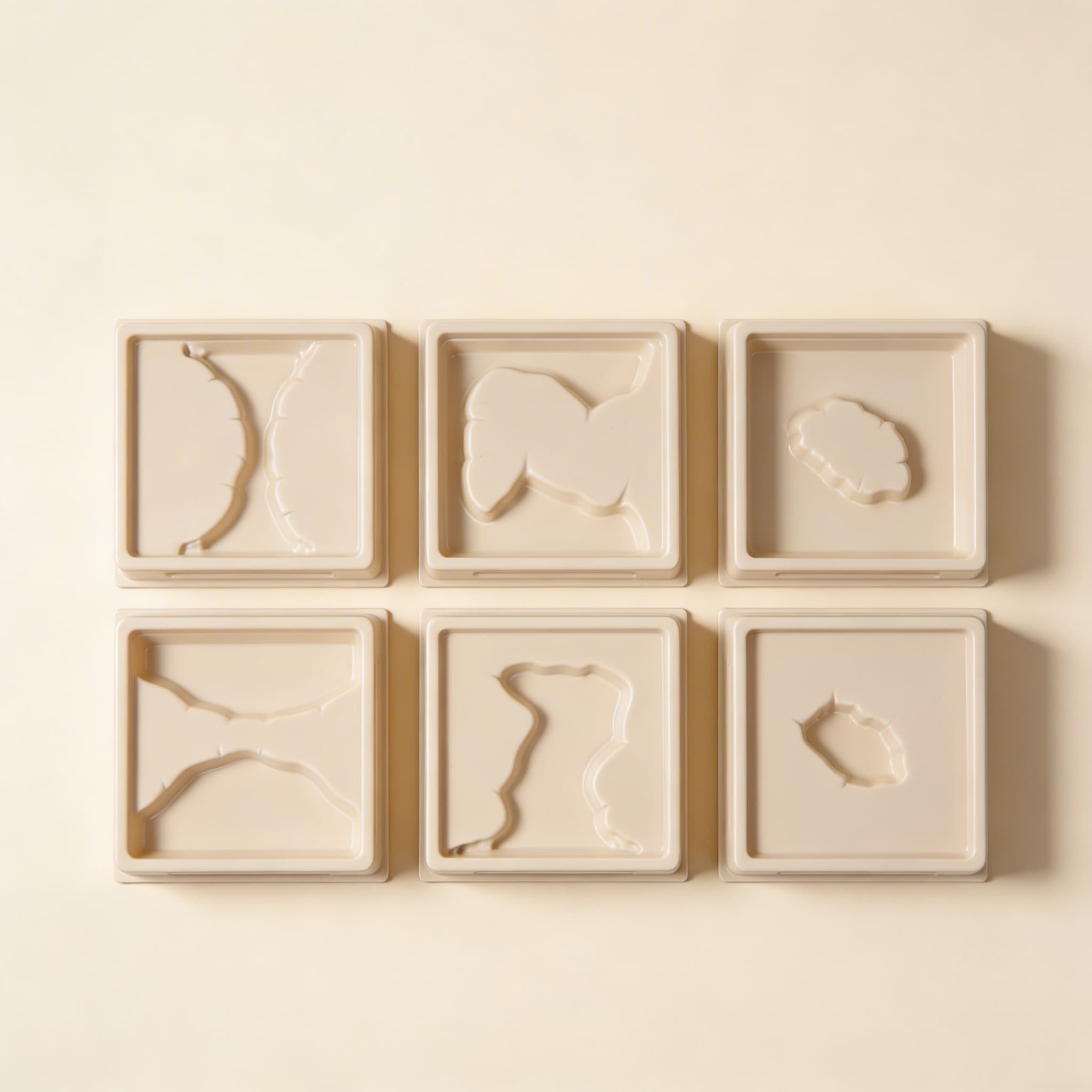 Land- und Wasserformschalen: Set 1