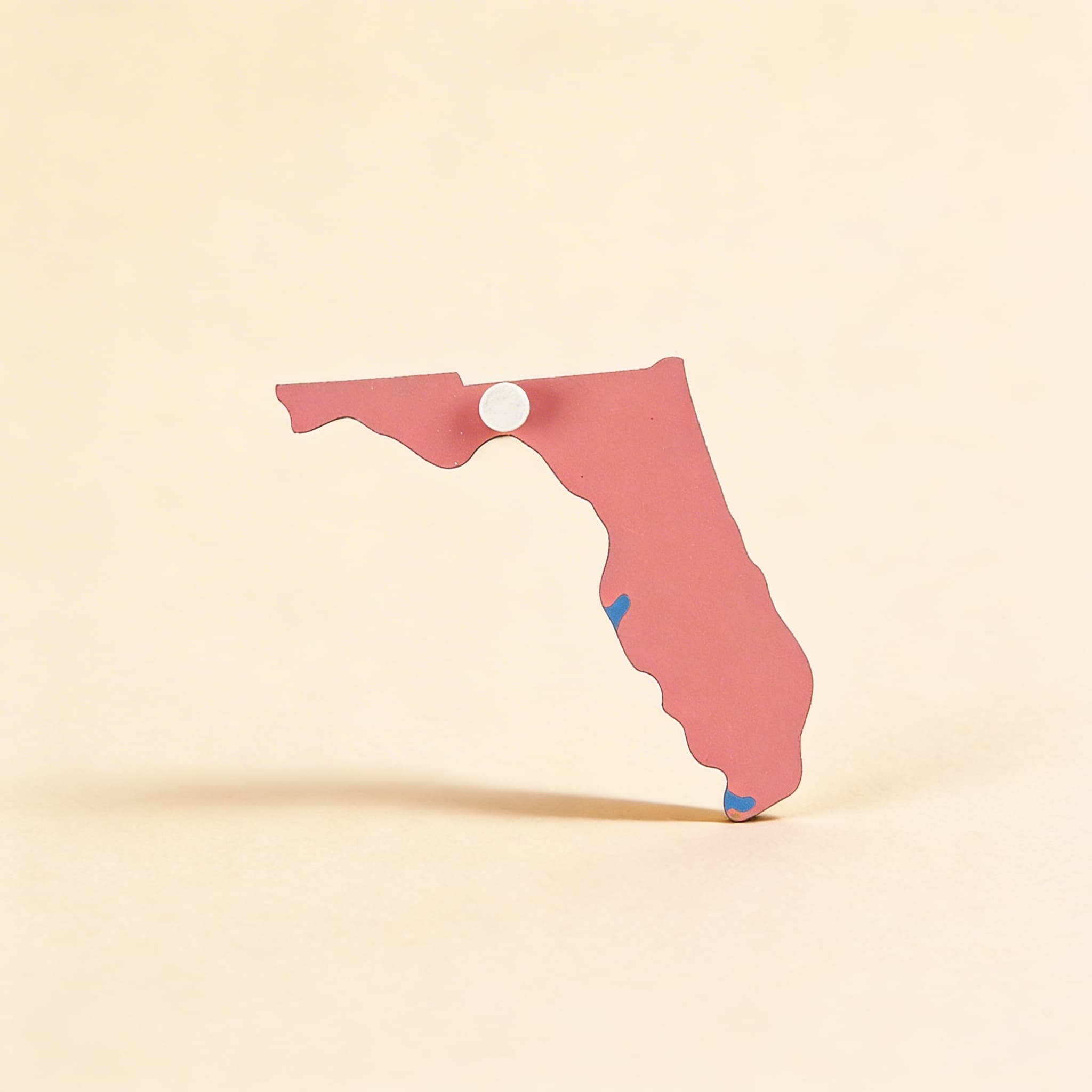 Puzzle Piece Of Usa: Florida