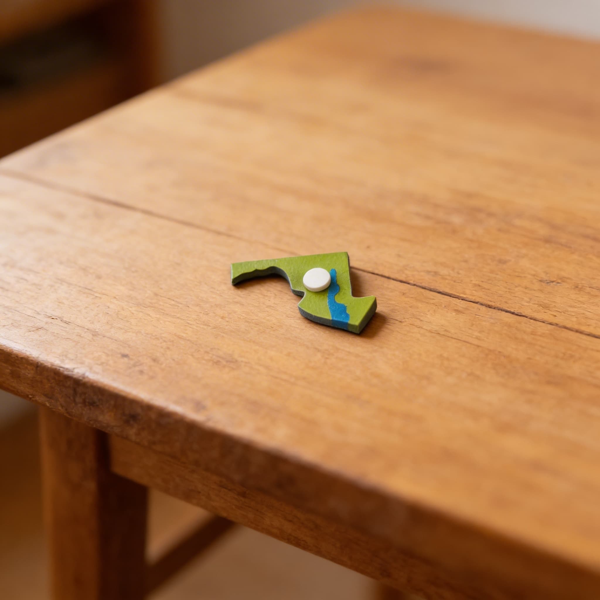 Puzzleteil USA: Florida — Ansicht 3