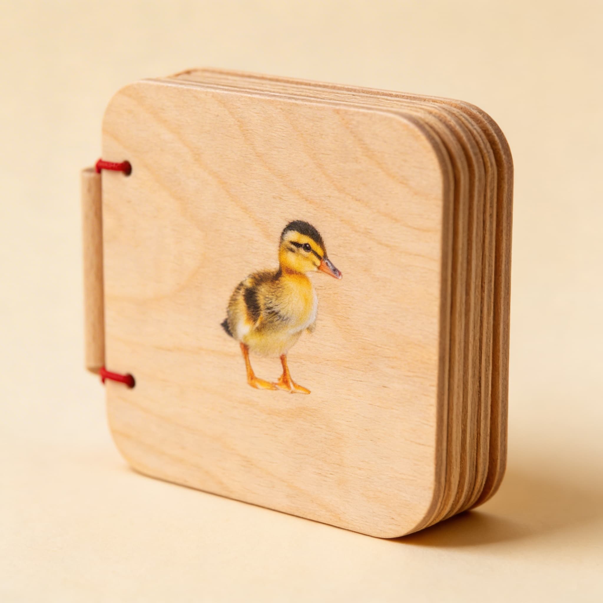 Moje první knížka: Domácí mazlíčci — Boční pohled