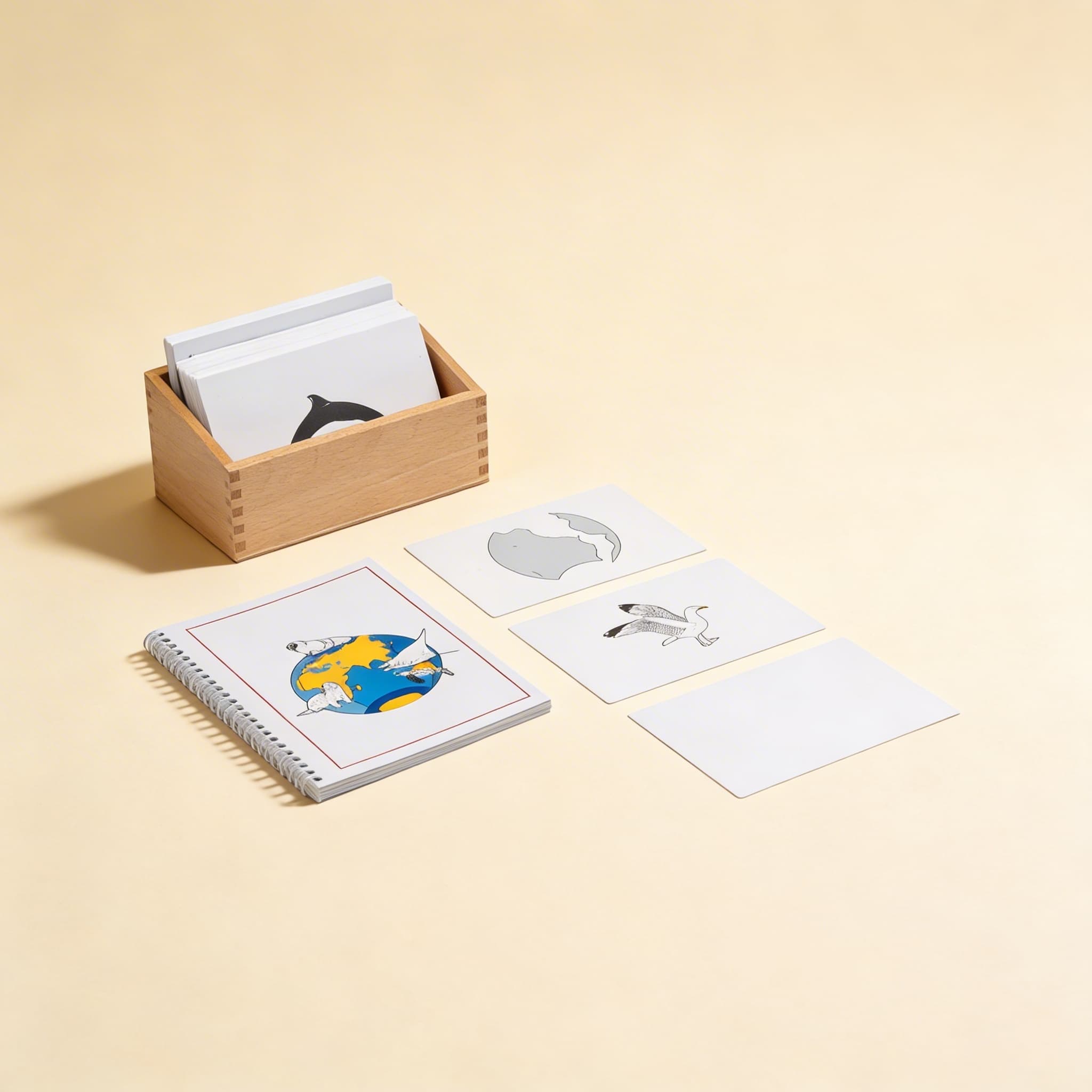 Tiere des Ozeans: Englisch