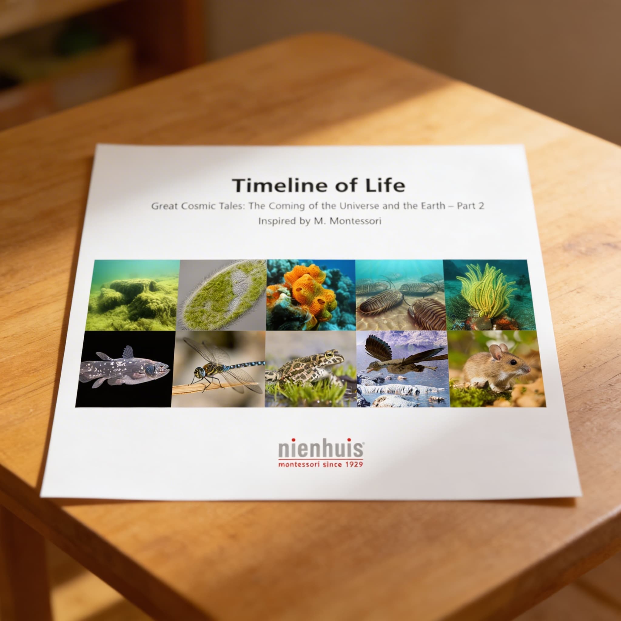 Časová osa života — Detailní pohled