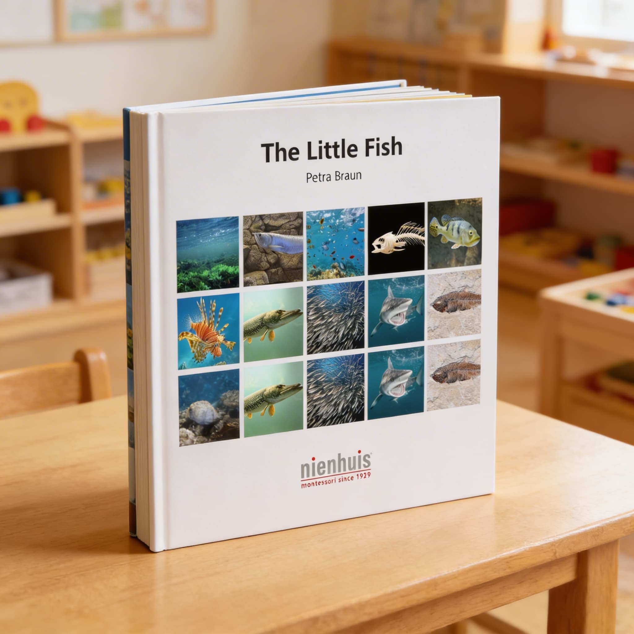 Kniha: Malá rybka — Detailný pohľad