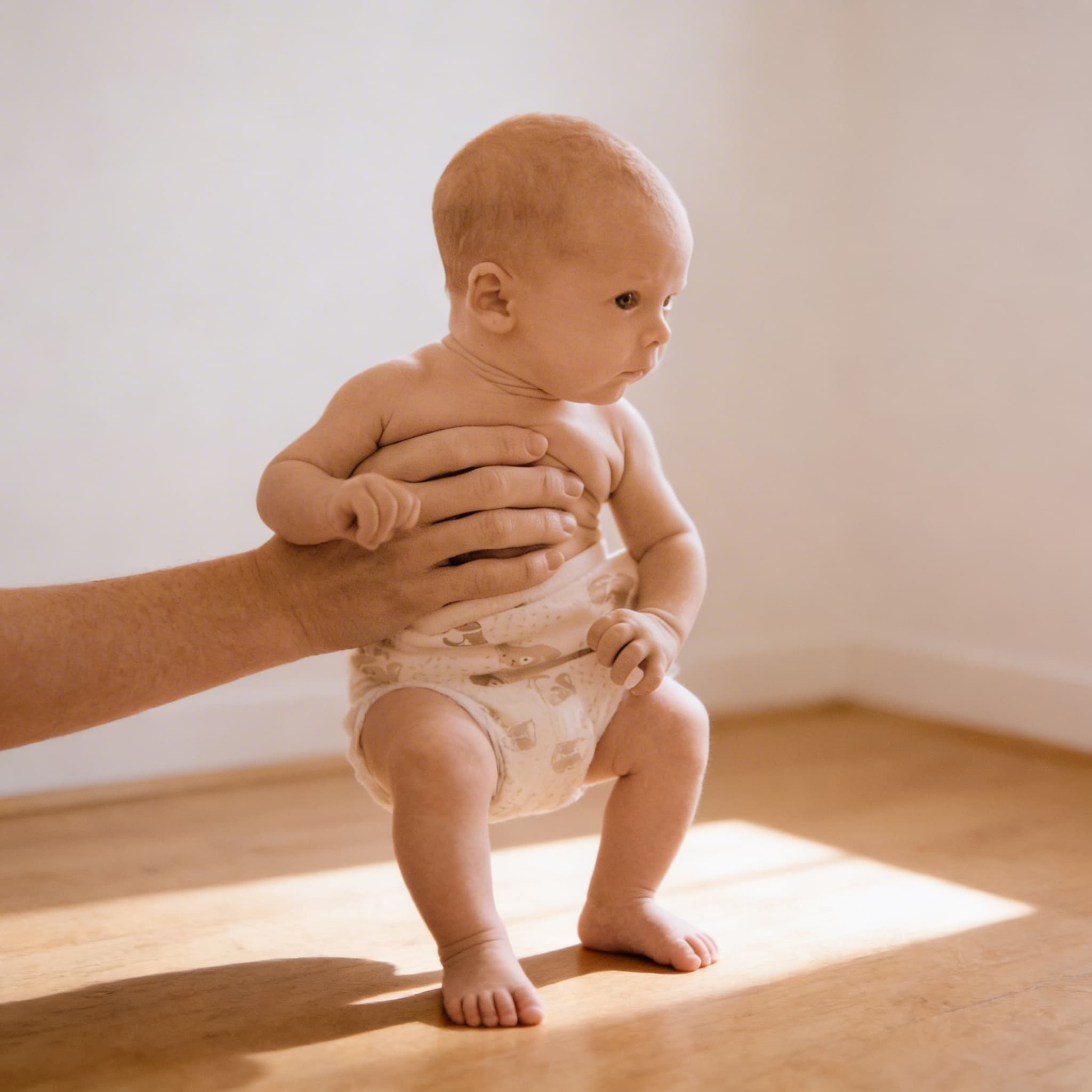 Understanding The Human Being