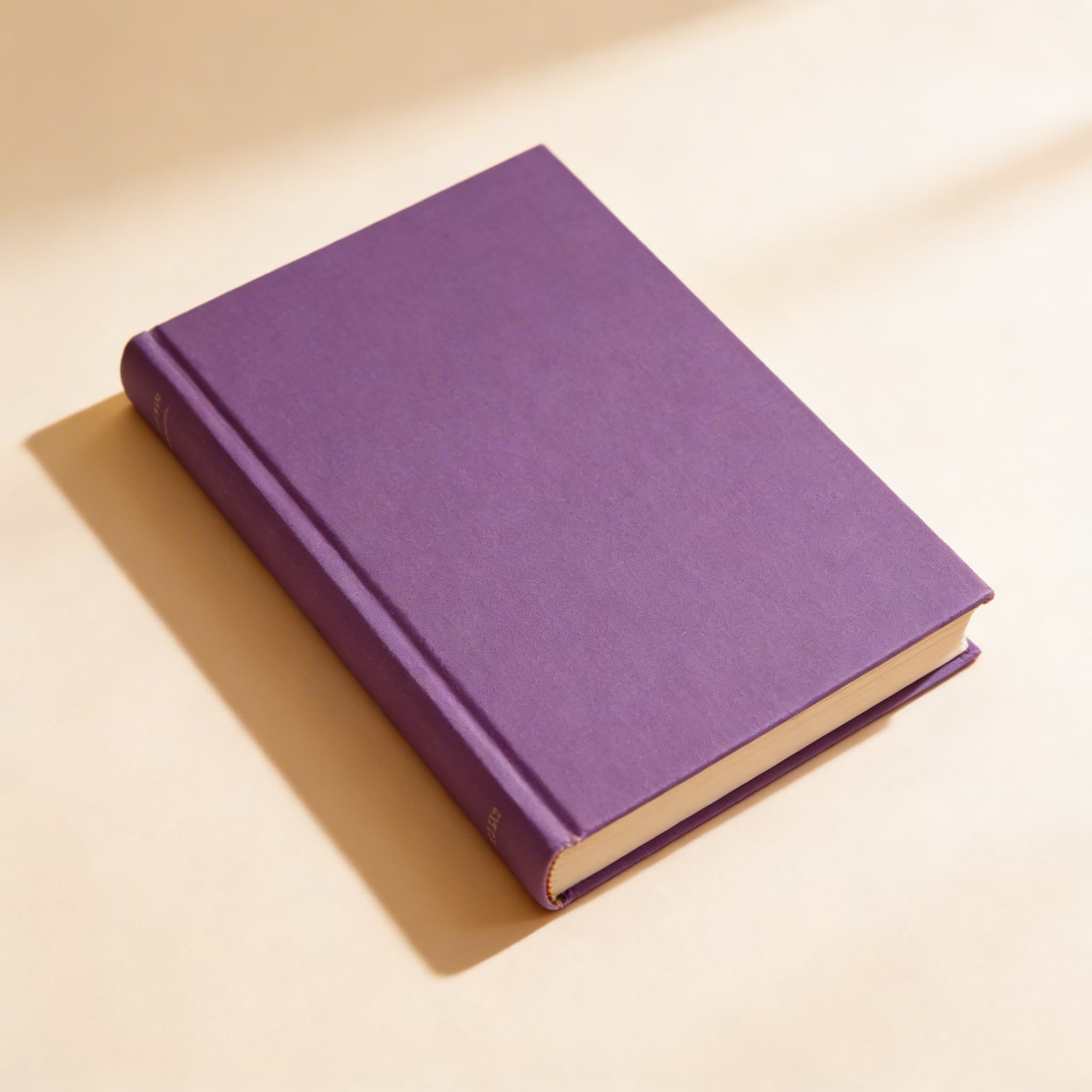 Montessori heute — Seitenansicht