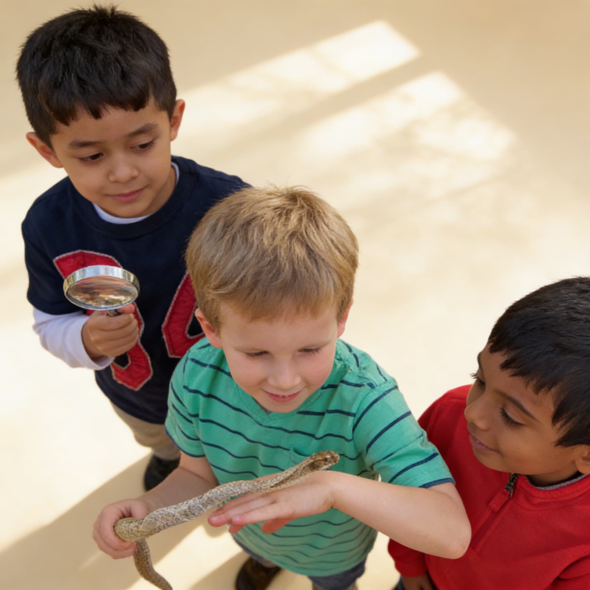 Die Montessori-Grundschule: Fortsetzung der Montessori-Reise — Ansicht 2