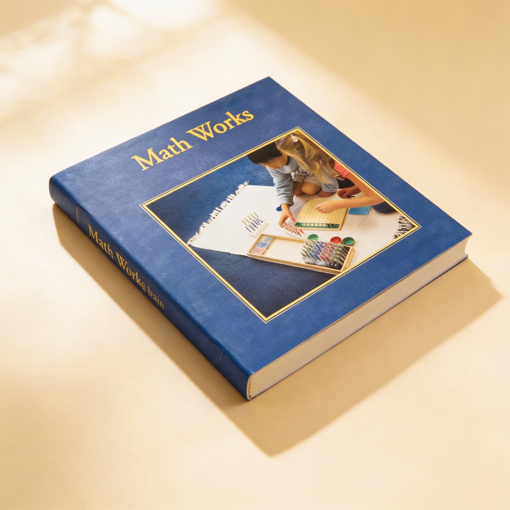 Mathe funktioniert: Montessori-Mathematik und das sich entwickelnde Gehirn — Ansicht 2