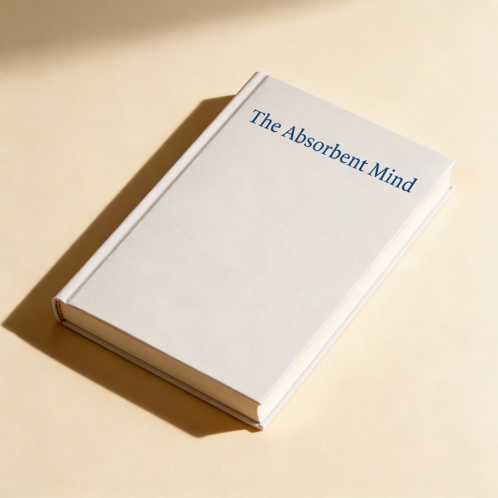 Der absorbierende Geist — Die Montessori-Reihe — Ansicht 2