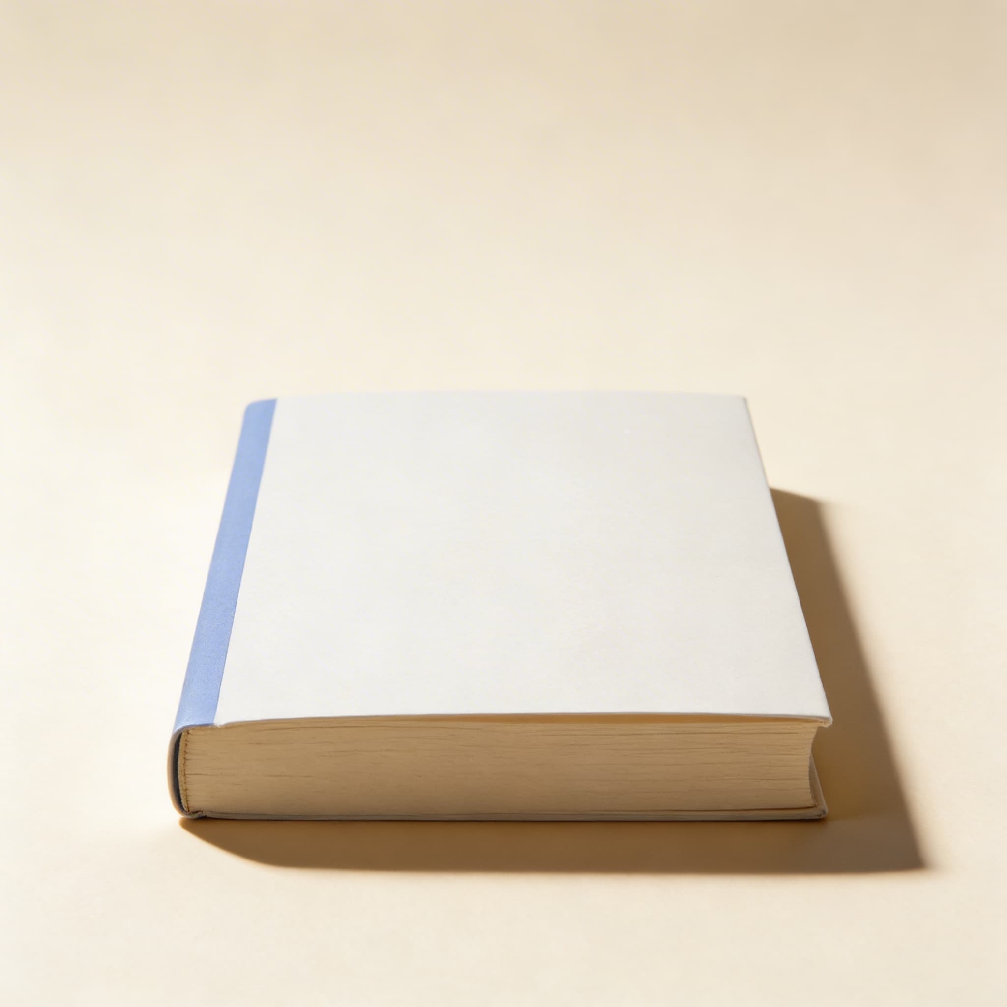 Die Römischen Vorlesungen 1913