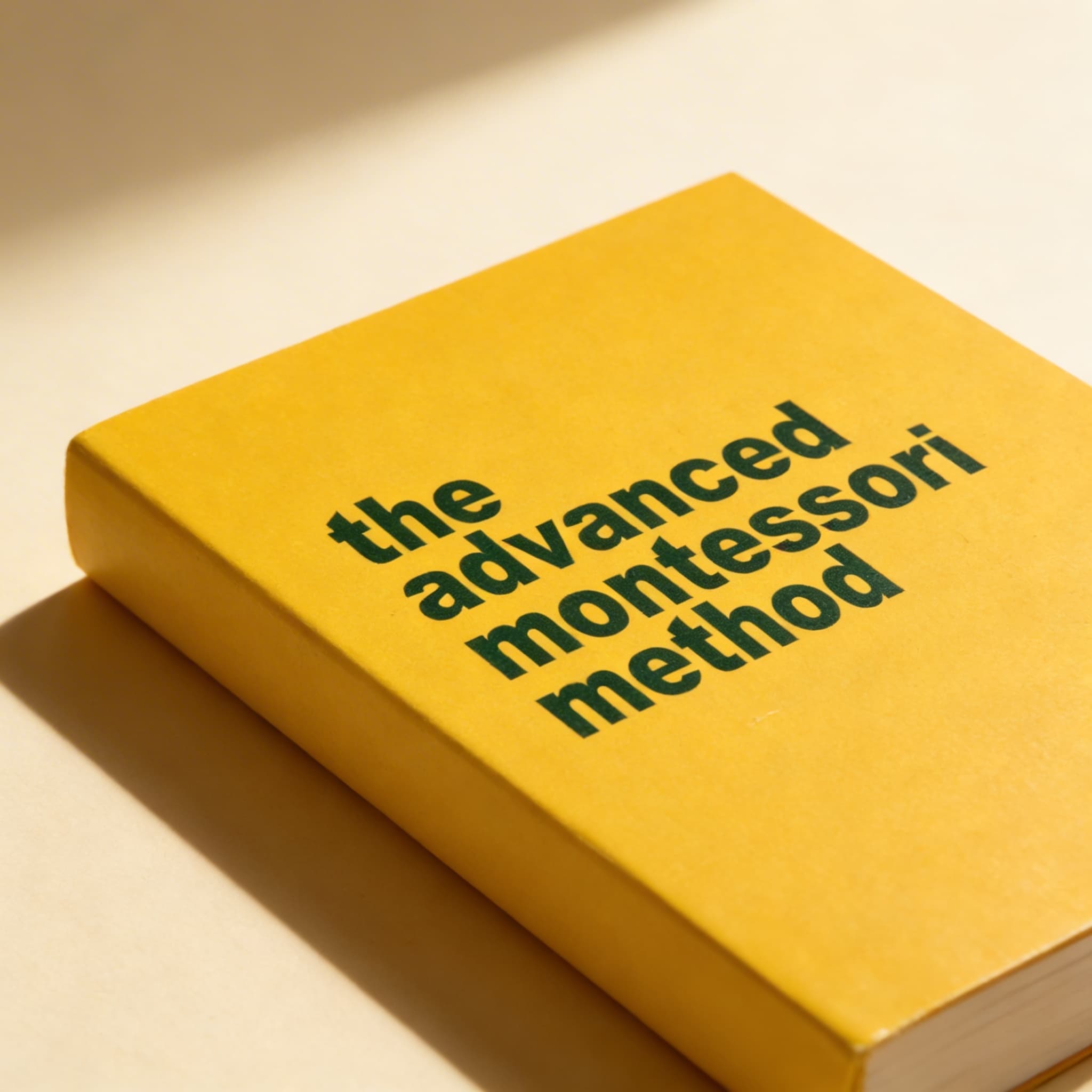 Die fortgeschrittene Montessori-Methode: Band 2 — Kalakshetra — Ansicht 2