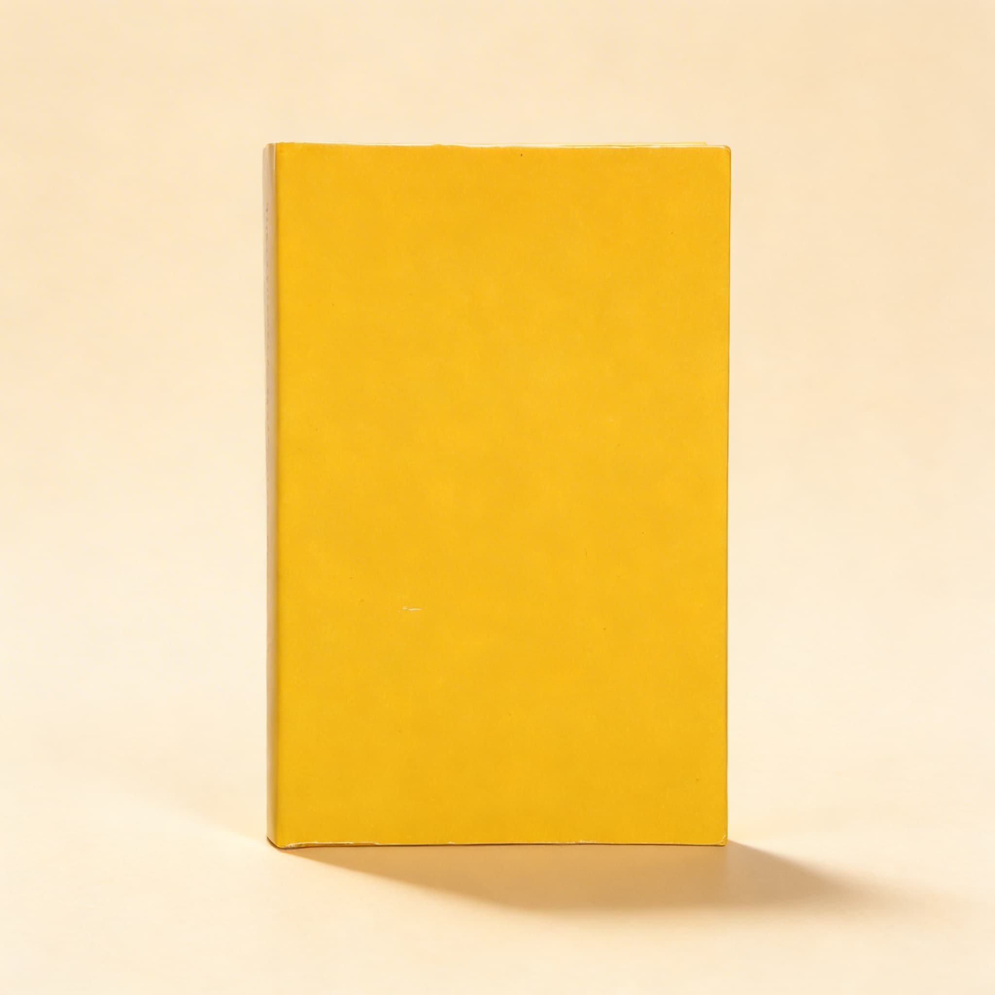 Die fortgeschrittene Montessori-Methode: Band 2 — Kalakshetra