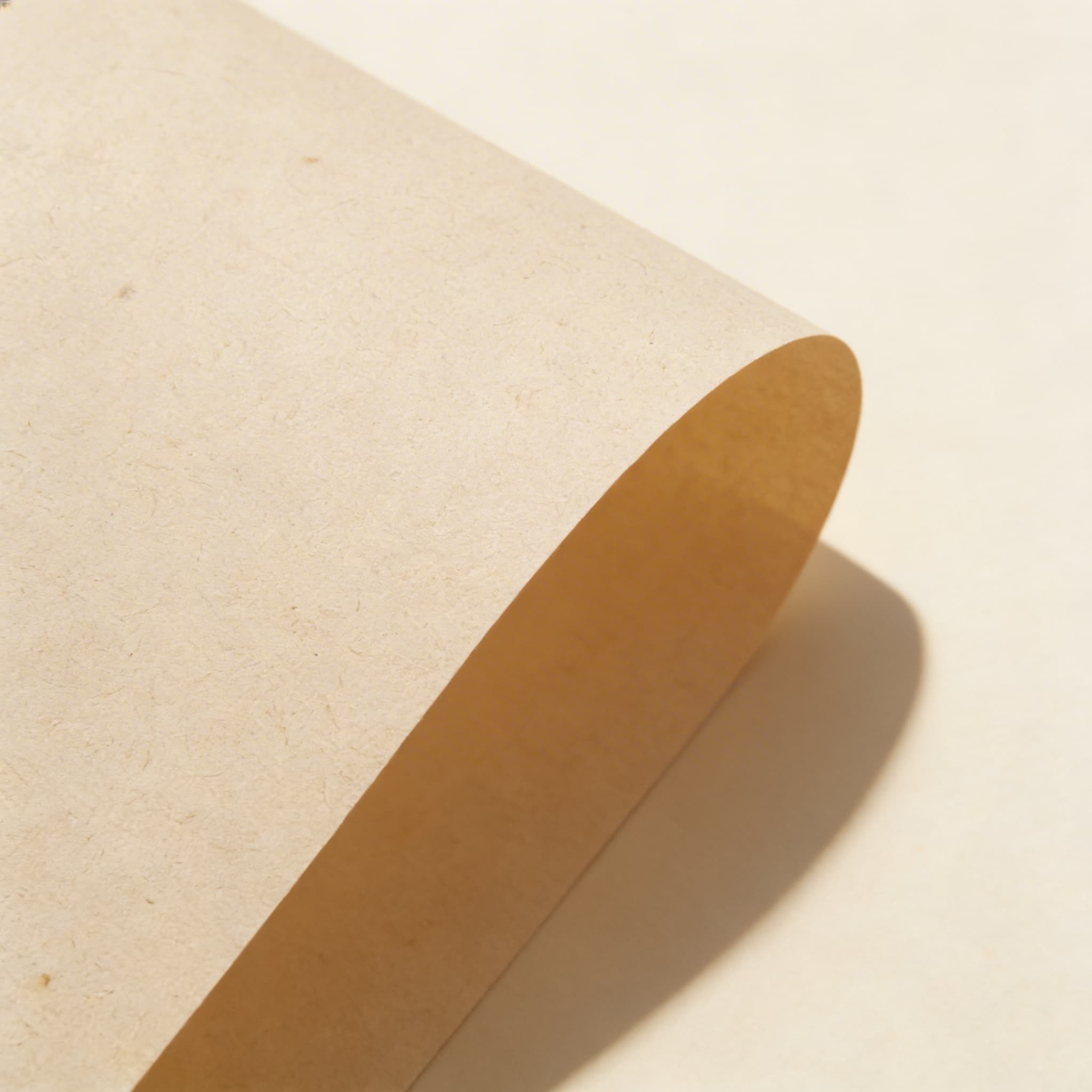 Montessori-Erziehung — Kalakshetra — Ansicht 2