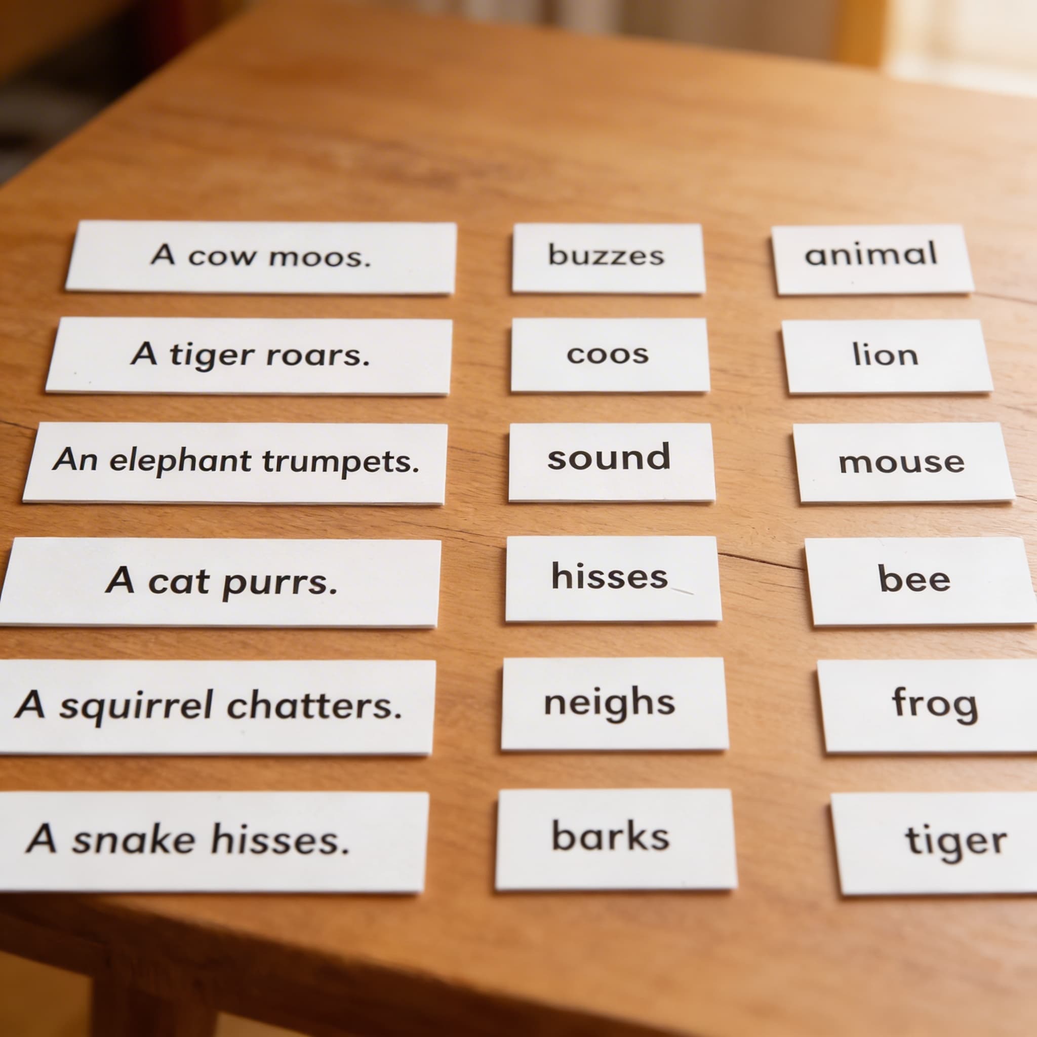 Zvieratá a ich zvuky — Detailný pohľad