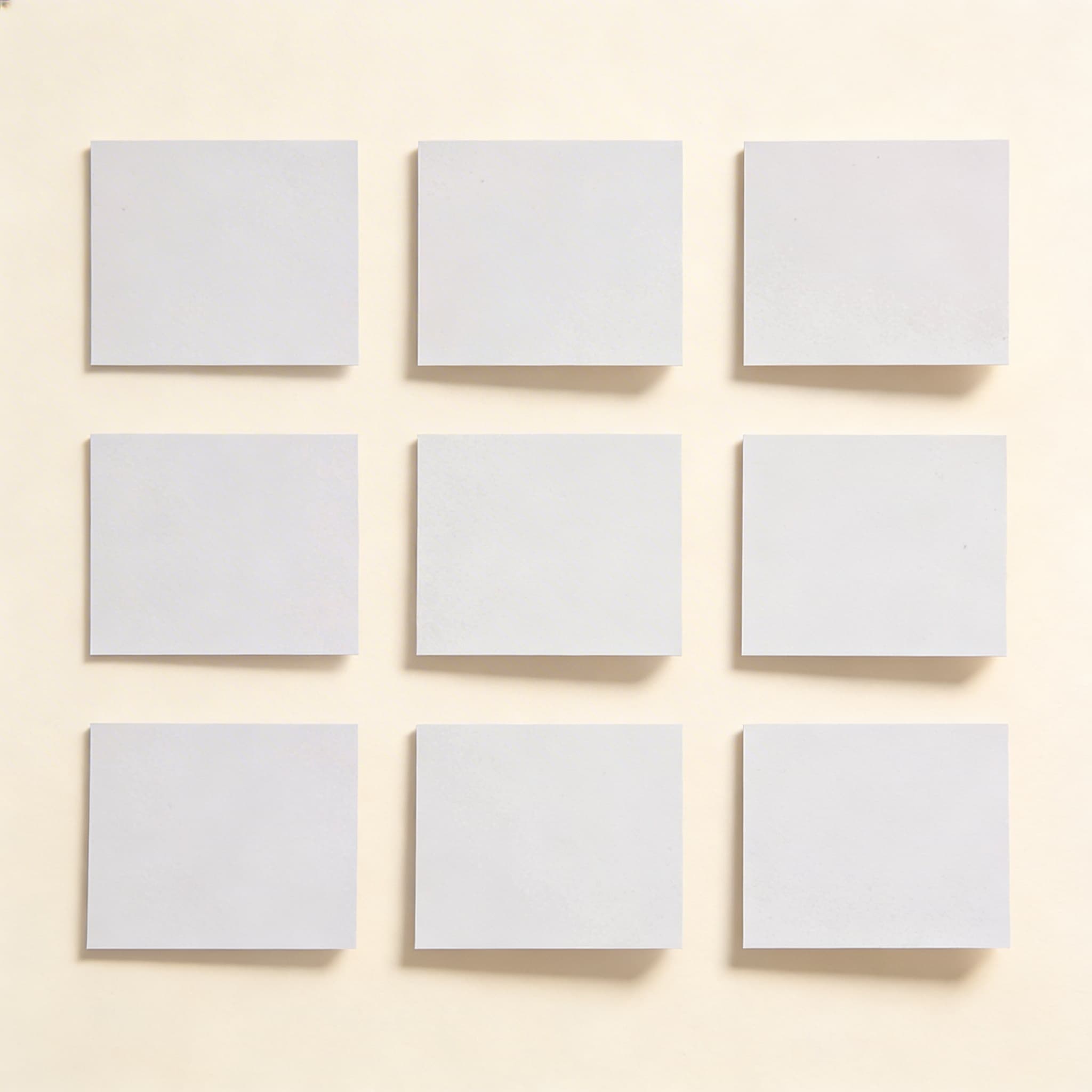 Tiere und ihre Jungen