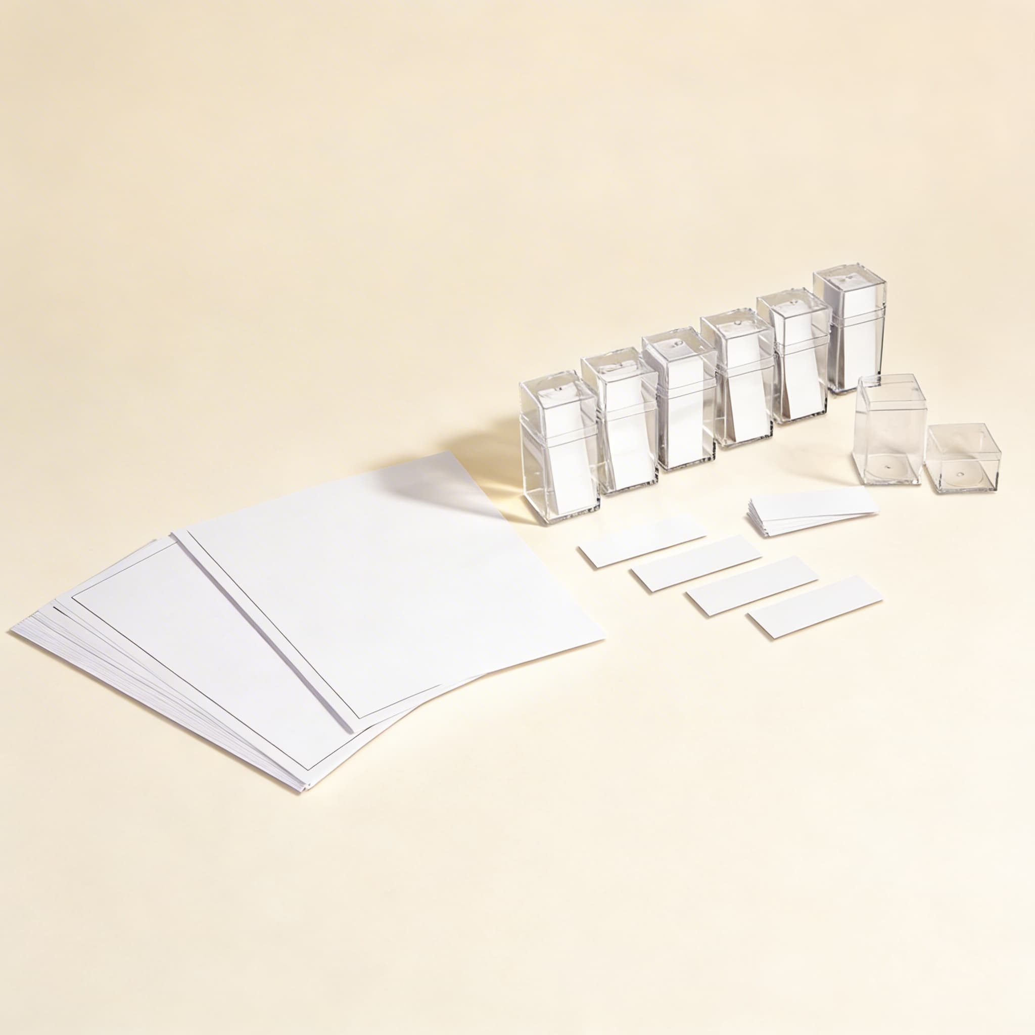 Singular- und Plural-Substantivübungen