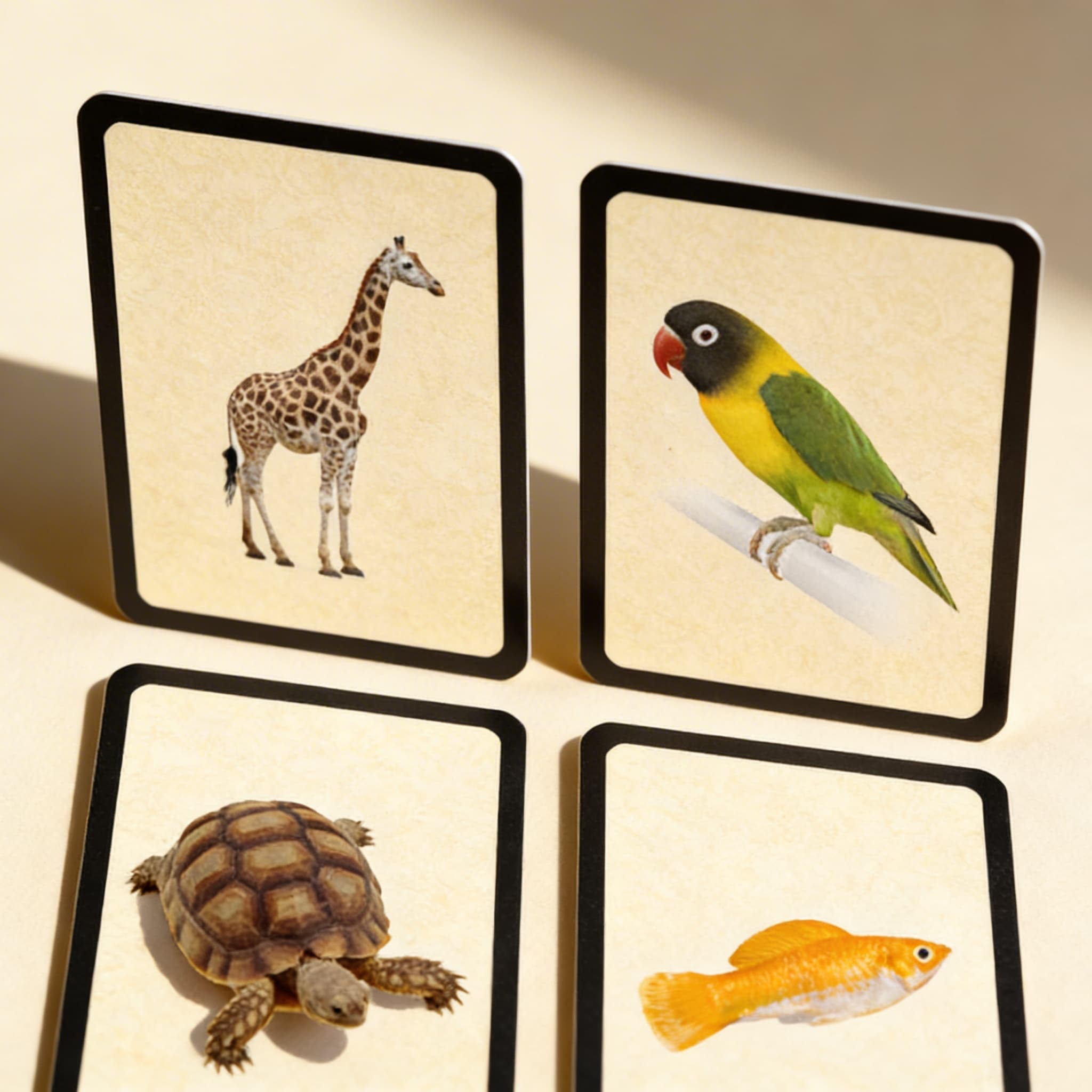 Sortierkarten der fünf Wirbeltierklassen — Ansicht 2
