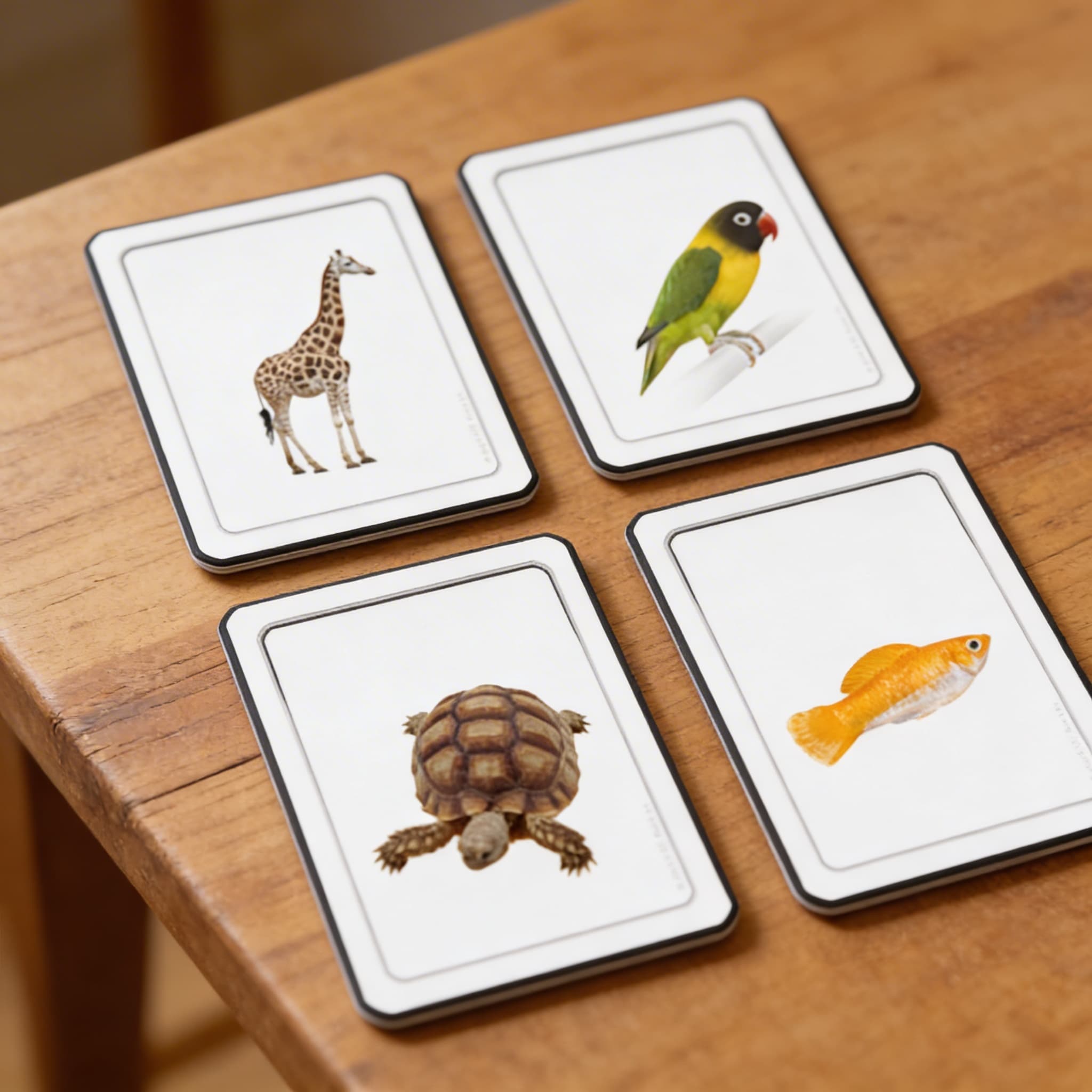 Sortierkarten der fünf Wirbeltierklassen — Ansicht 3