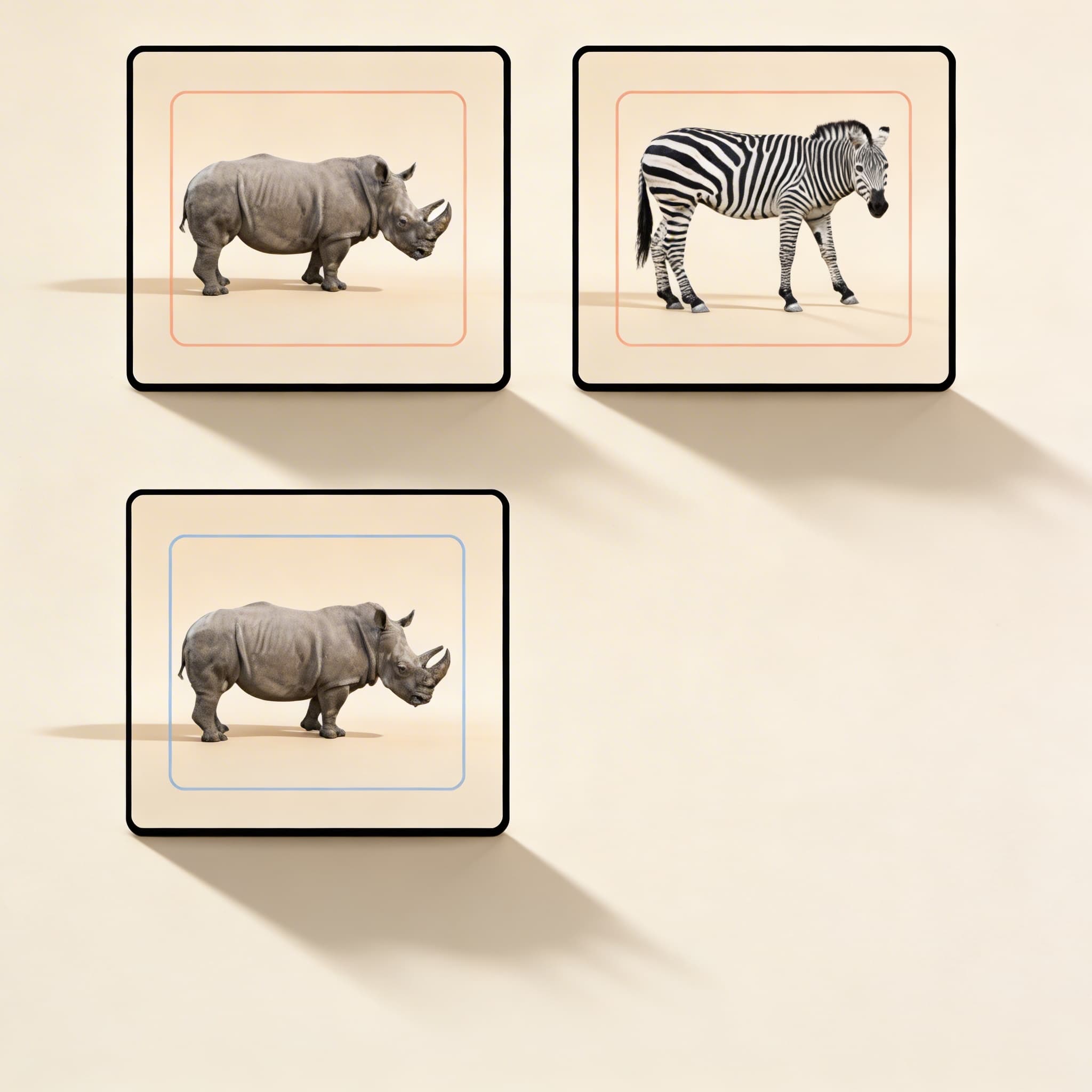 African Animals Matching Cards