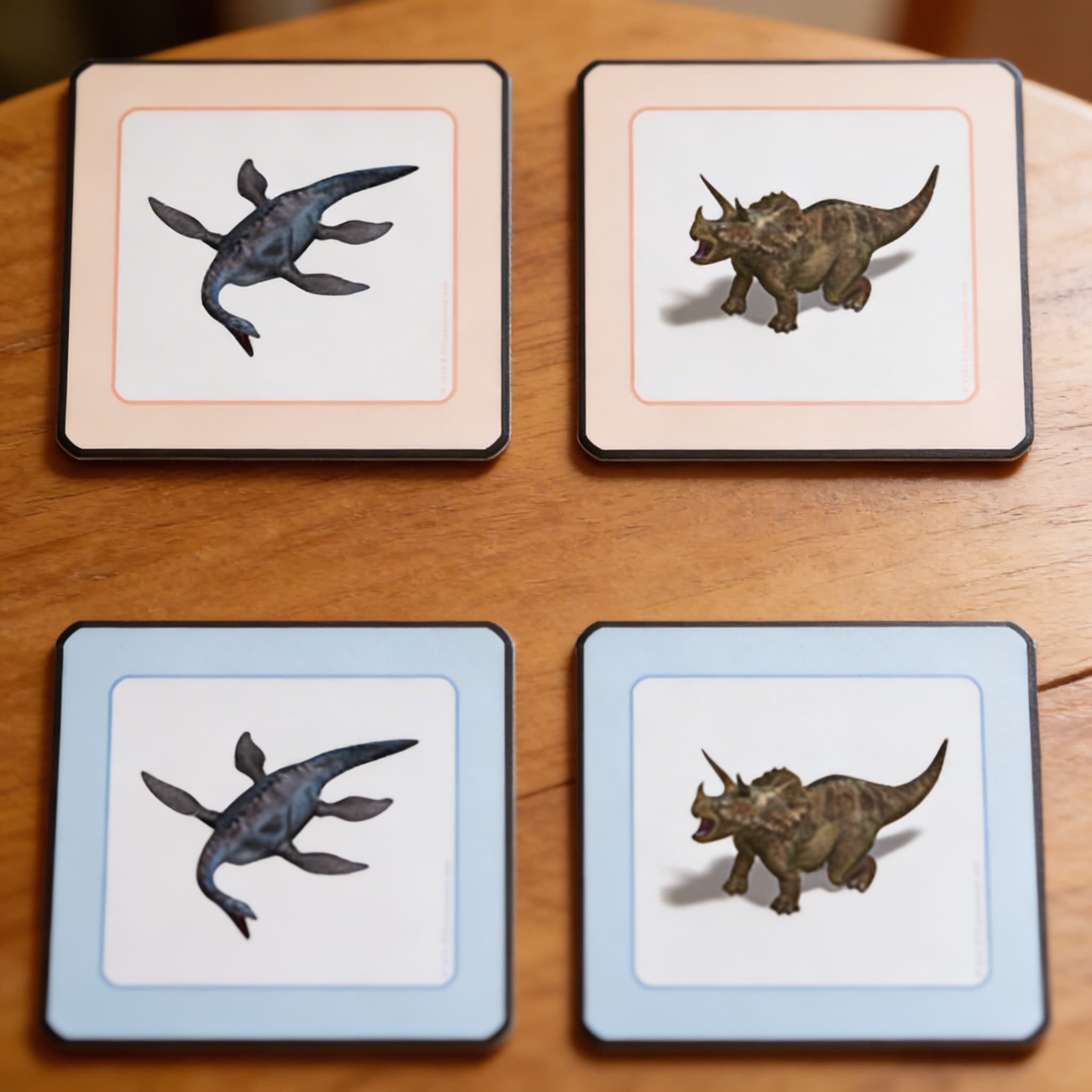 Přiřazovací karty dinosaurů — Detailní pohled