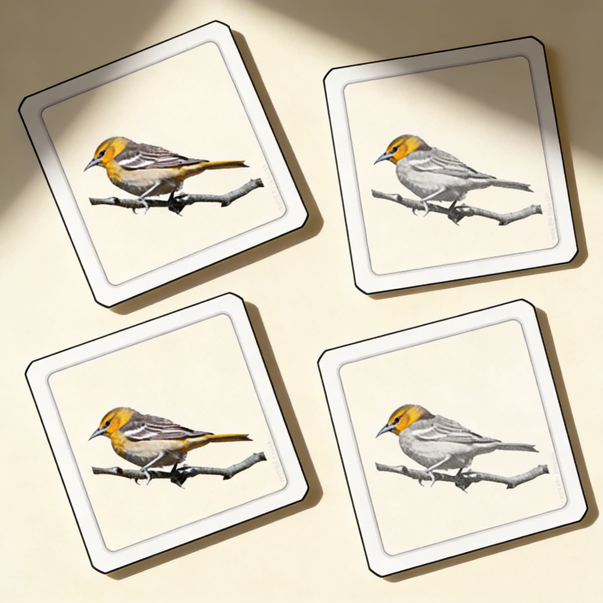 Časti vtáka (vtáky) — Bočný pohľad