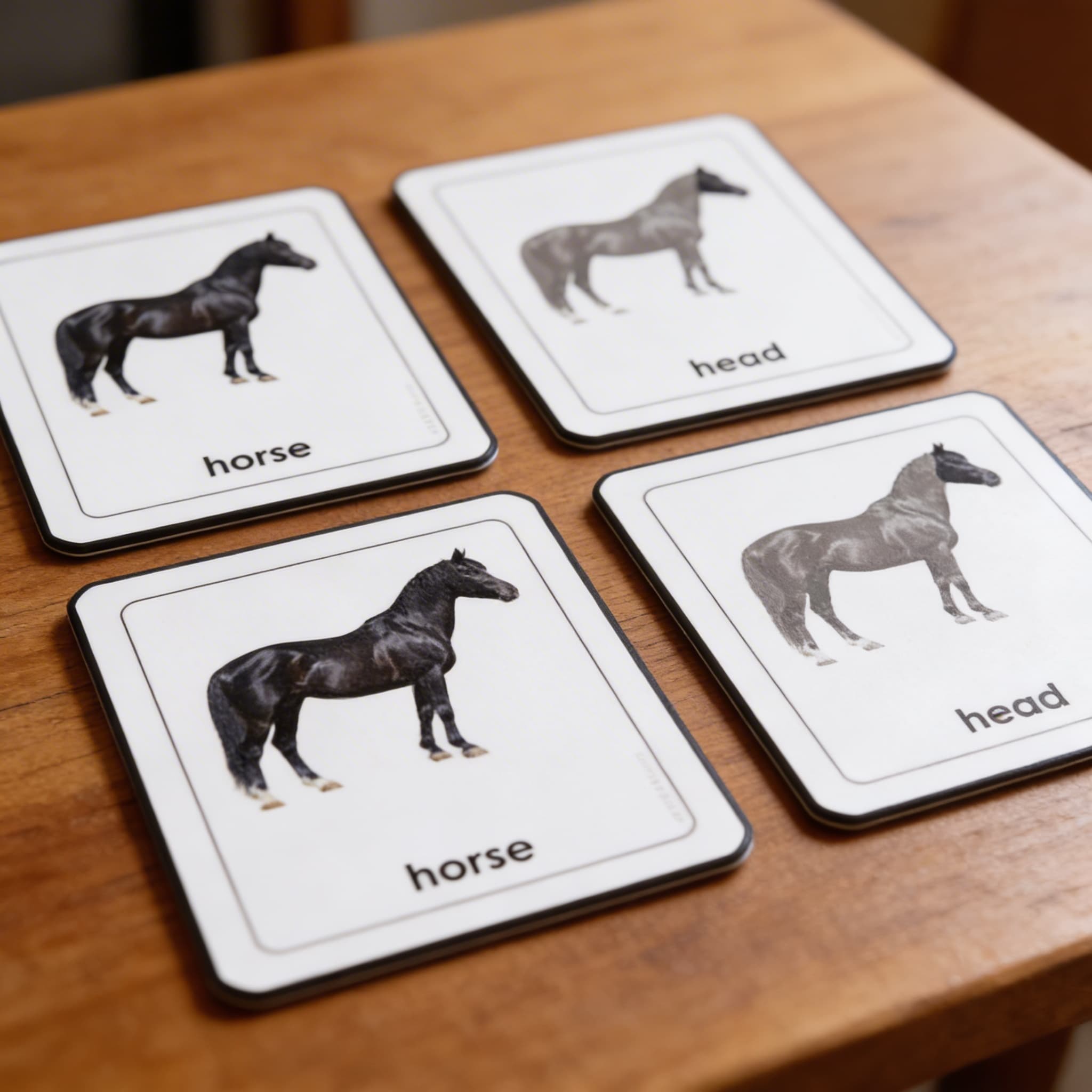 Části koně (savci) — Detailní pohled