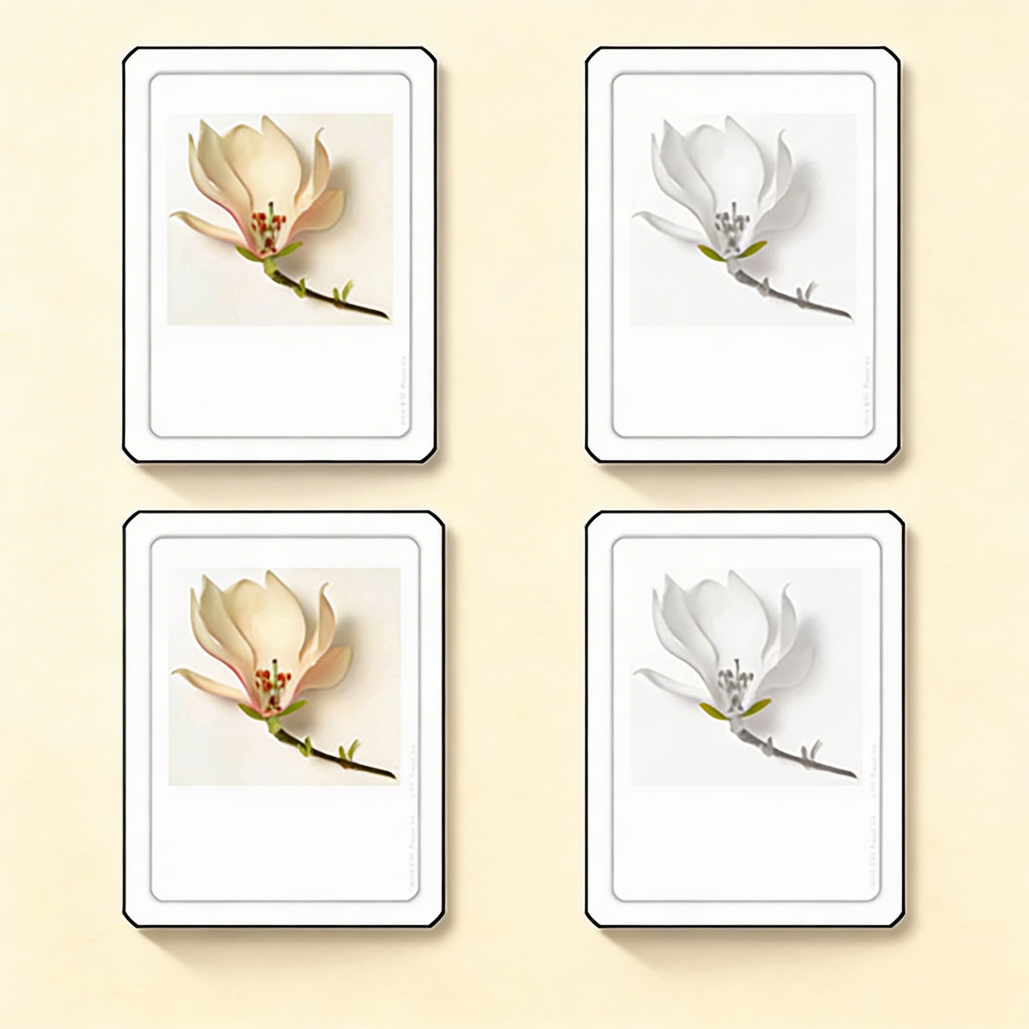 Části květiny — Katalogový pohled