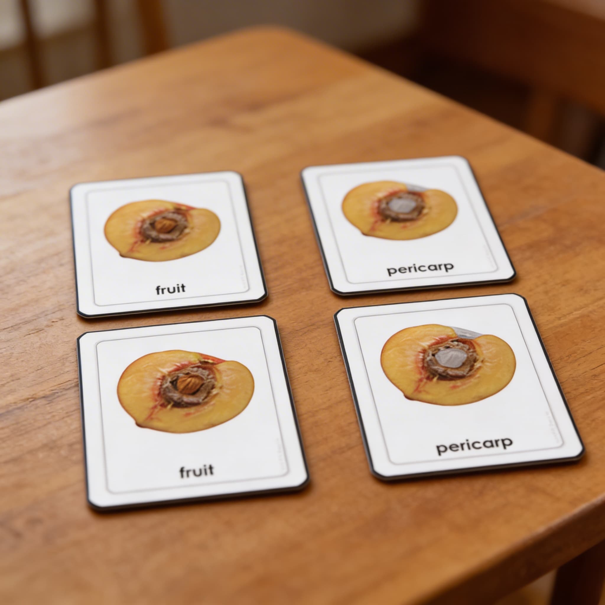 Časti ovocia — Detailný pohľad