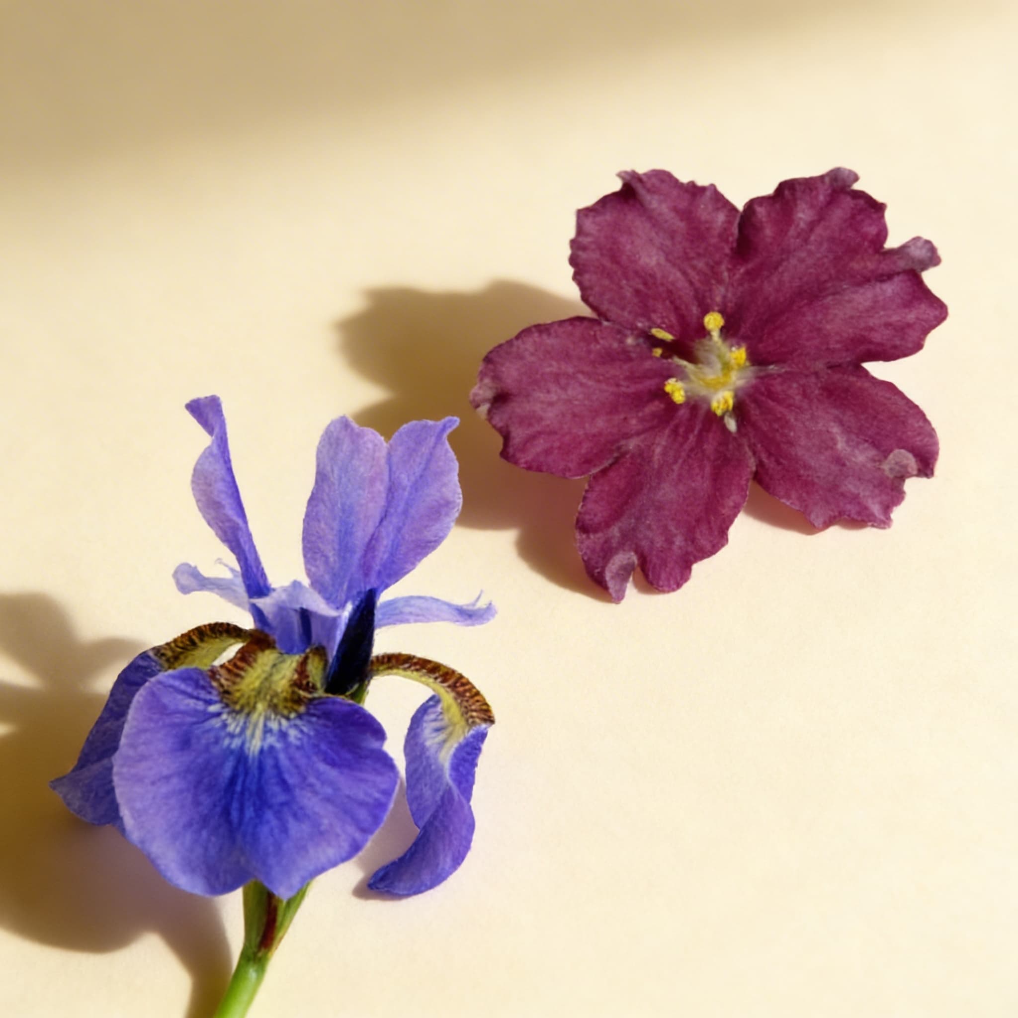 Trojdielne karty: Kvety — Bočný pohľad