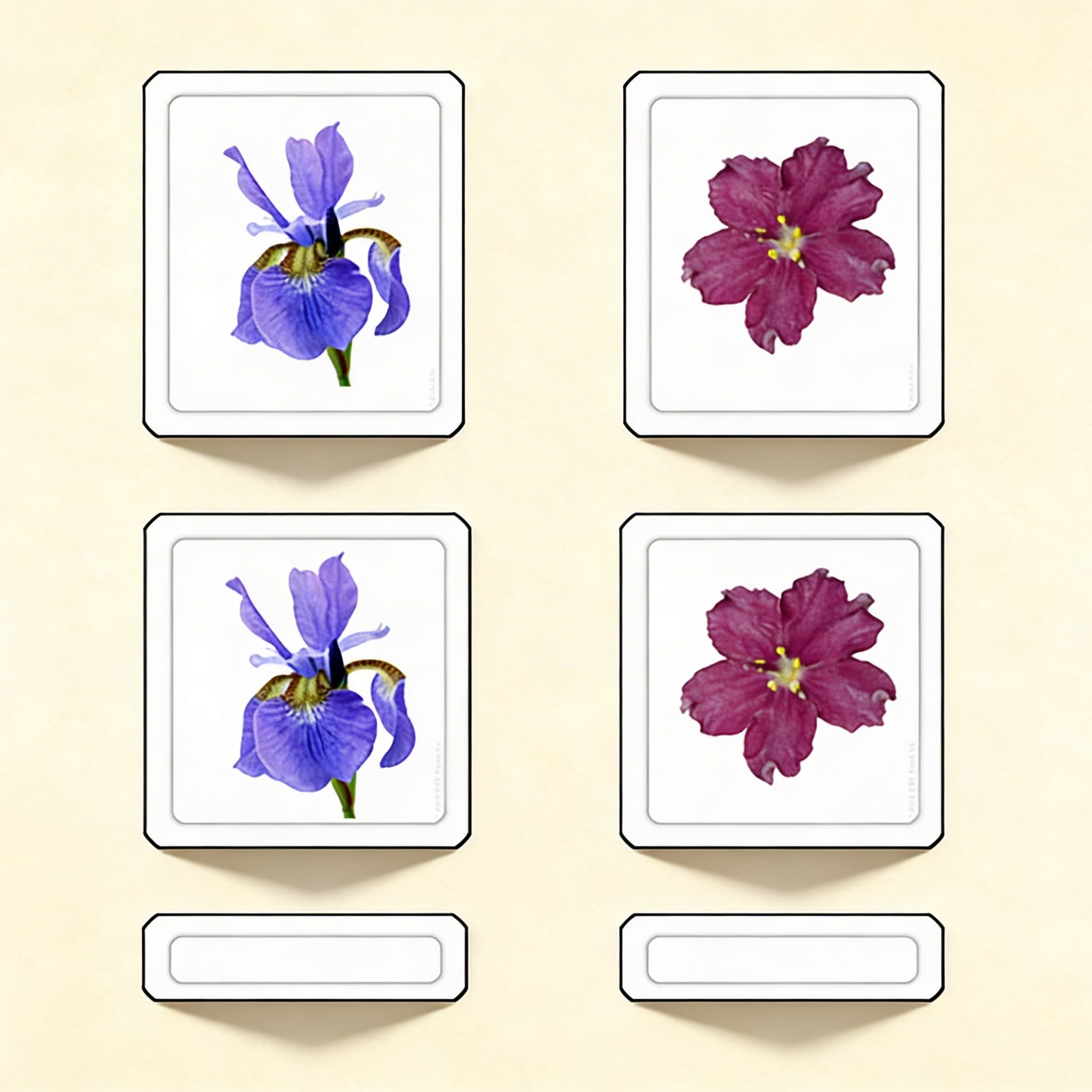 Trojdielne karty: Kvety — Katalógový pohľad