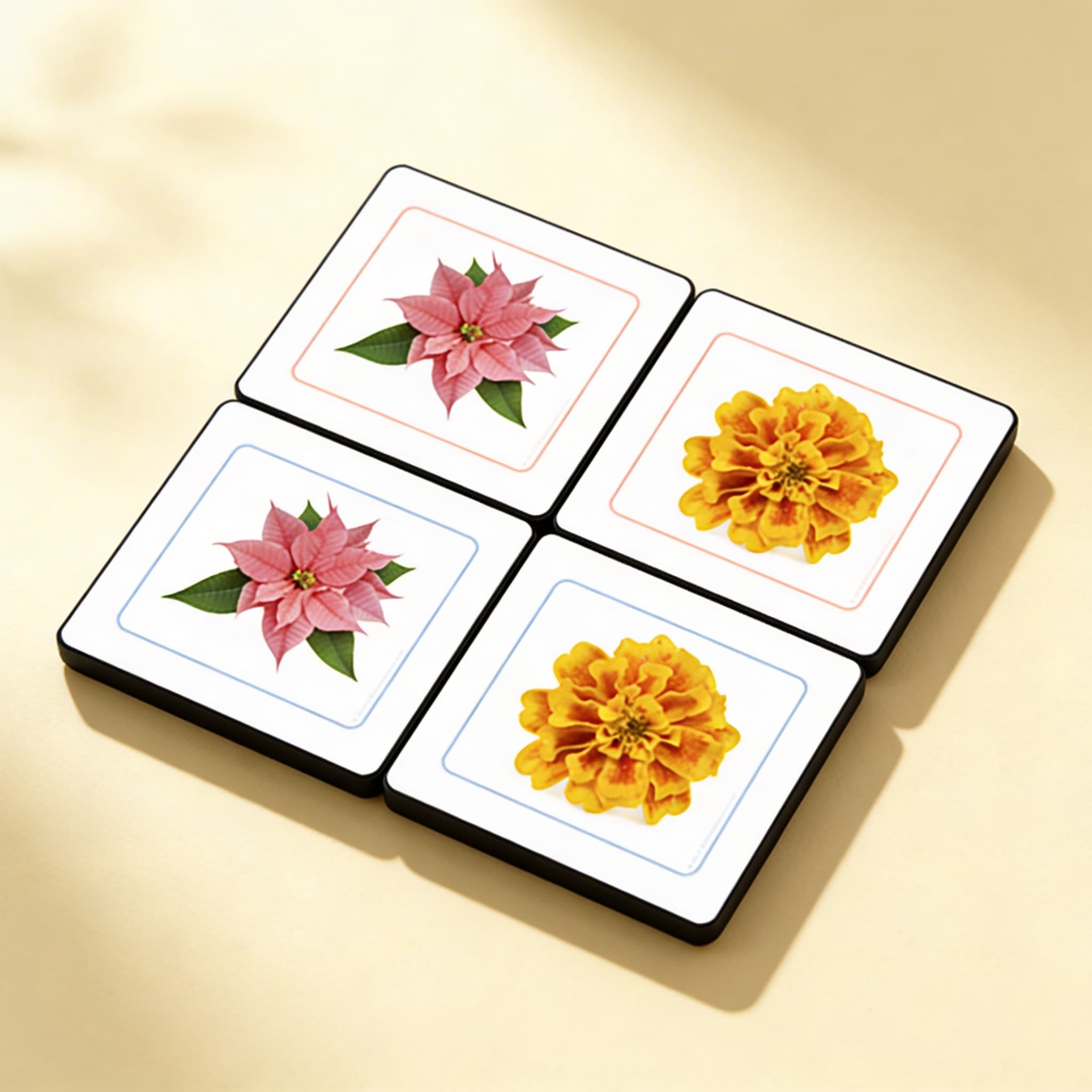 Přiřazovací karty: Květiny — Boční pohled