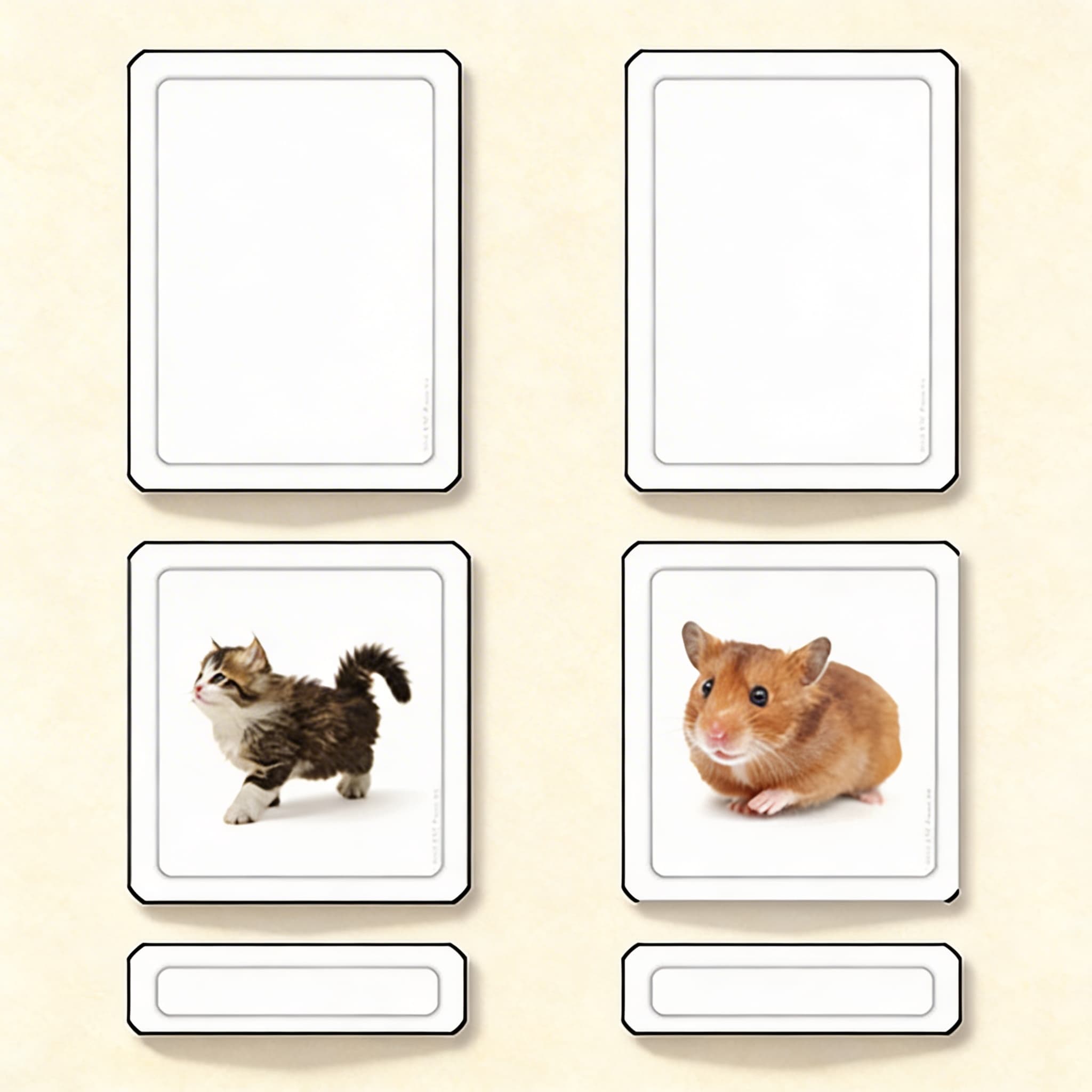 Domácí zvířata — třídílné karty — Katalogový pohled