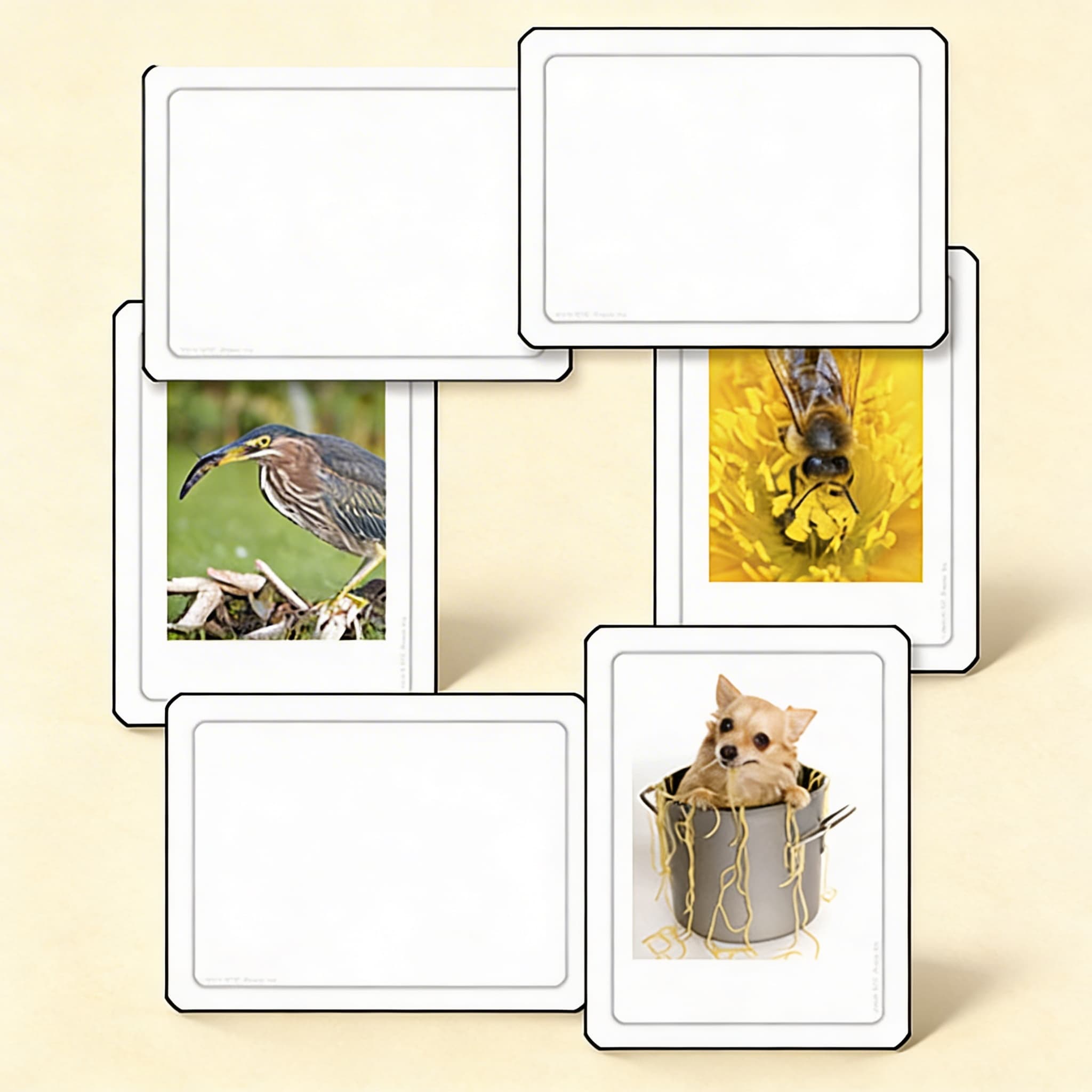 Fleischfresser, Pflanzenfresser und Allesfresser — Katalogansicht