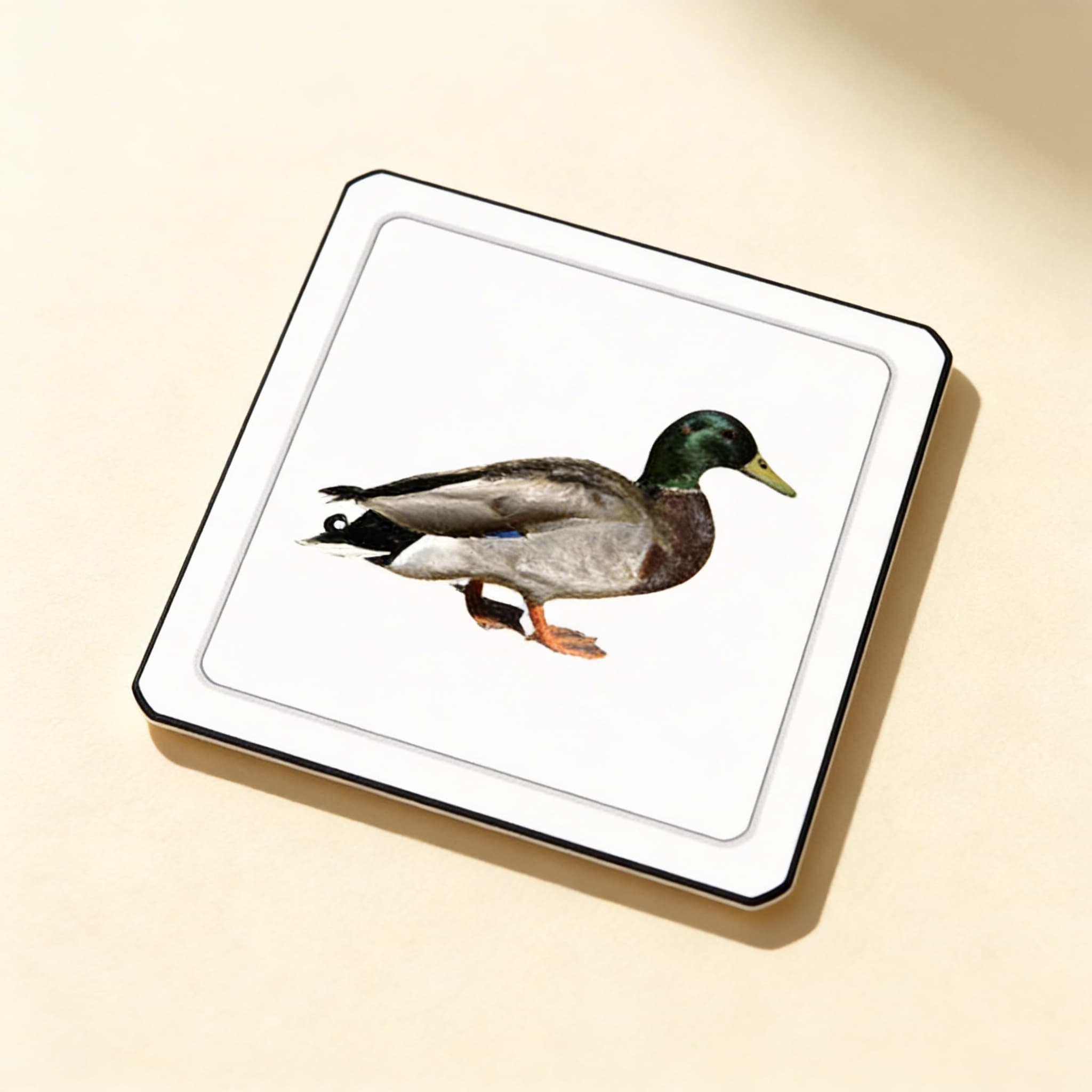 Mláďata zvířat — třídílné karty — Boční pohled