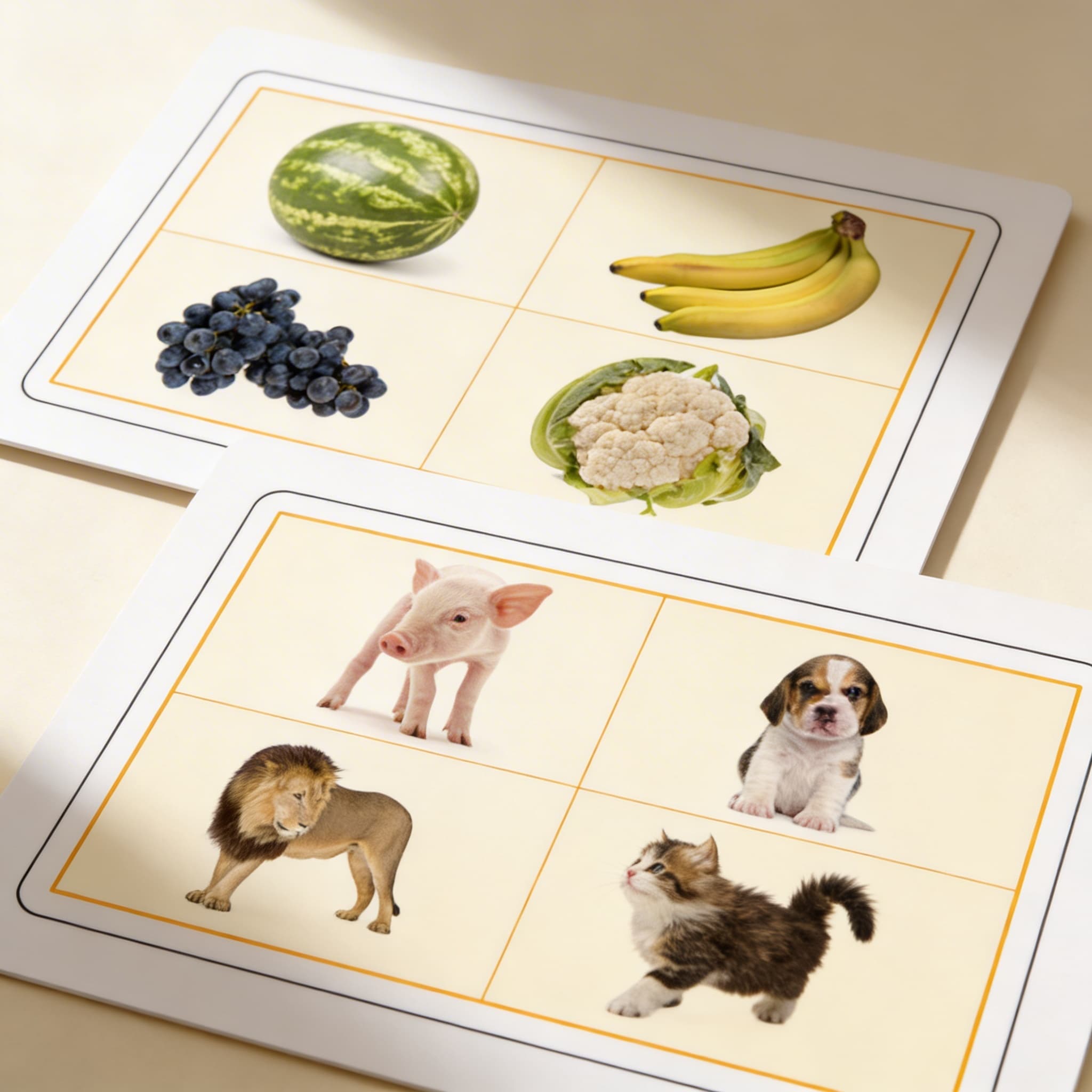 Gleich und Verschieden — Seitenansicht