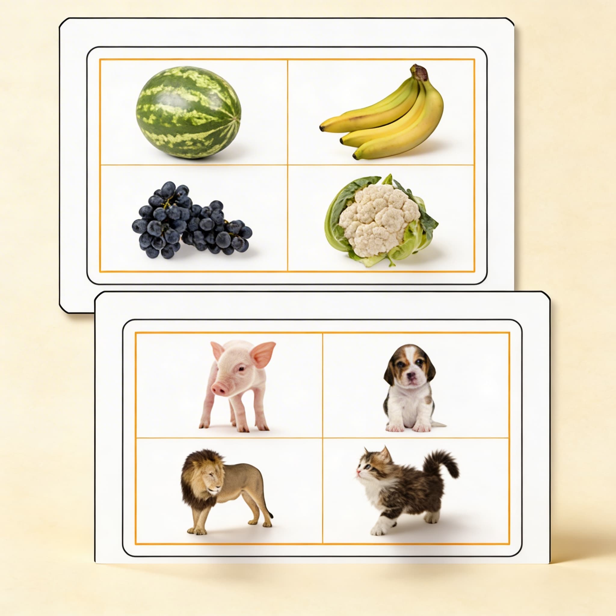 Gleich und Verschieden — Katalogansicht