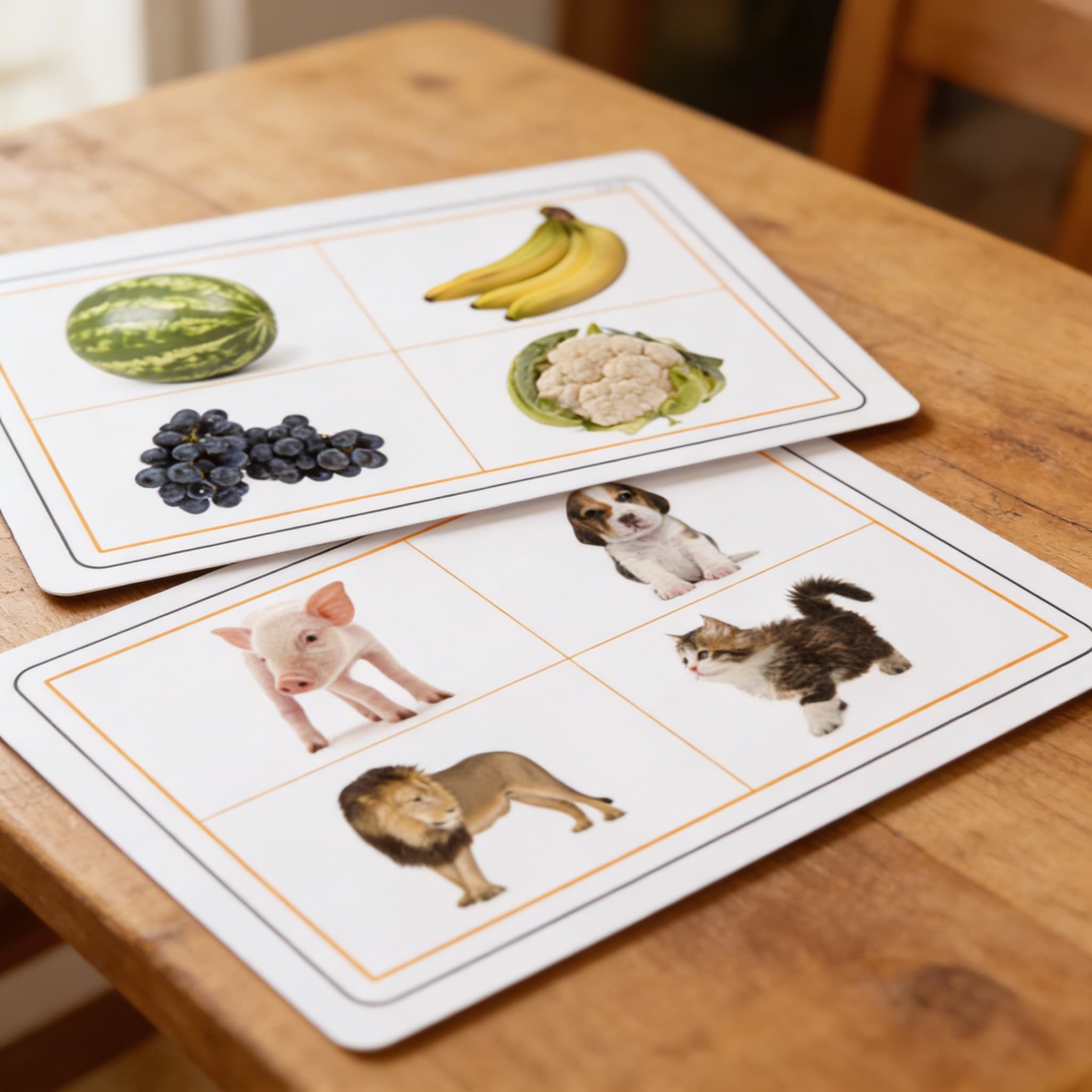 Gleich und Verschieden — Detailansicht