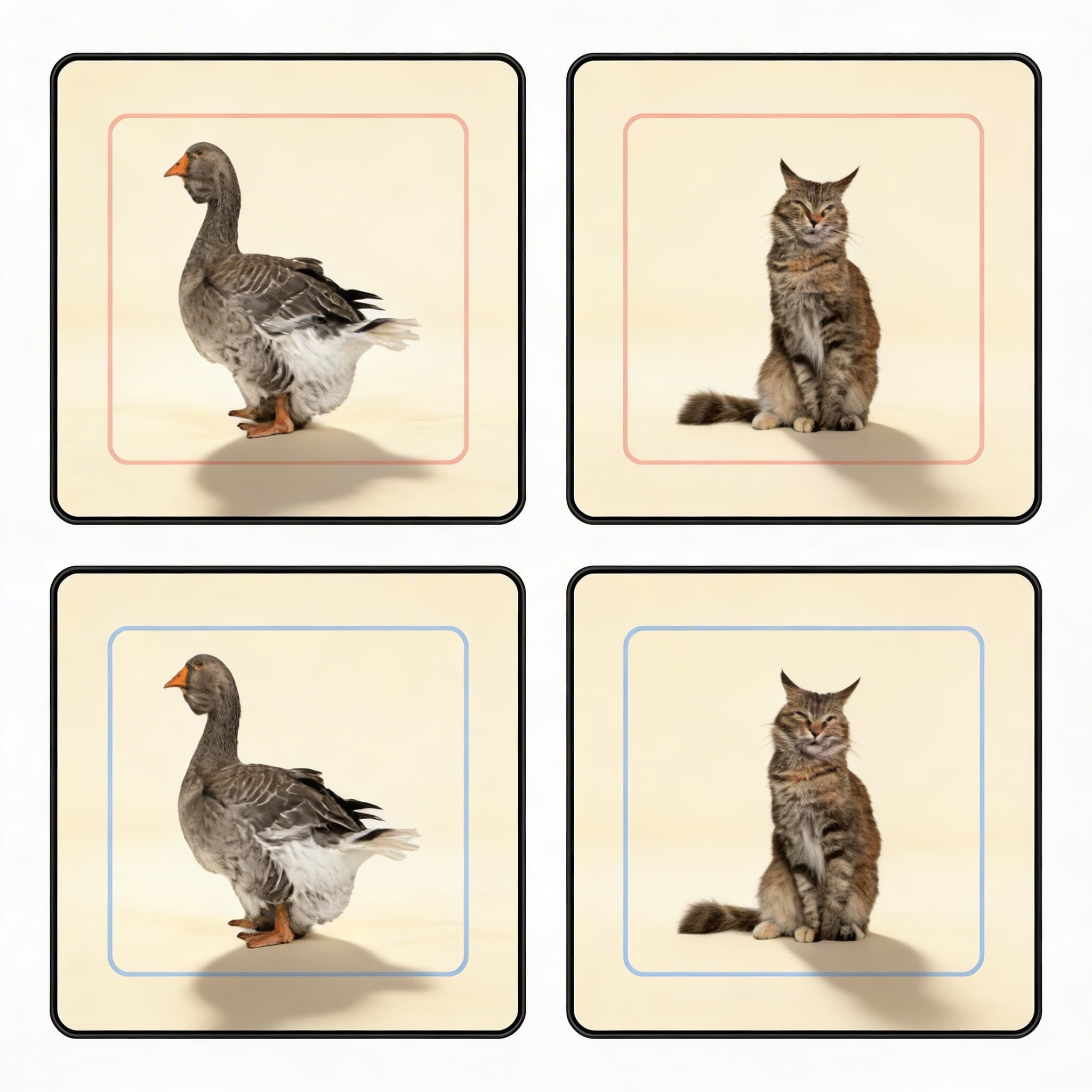 Přiřazovací pracovní karty domácích zvířat — Katalogový pohled