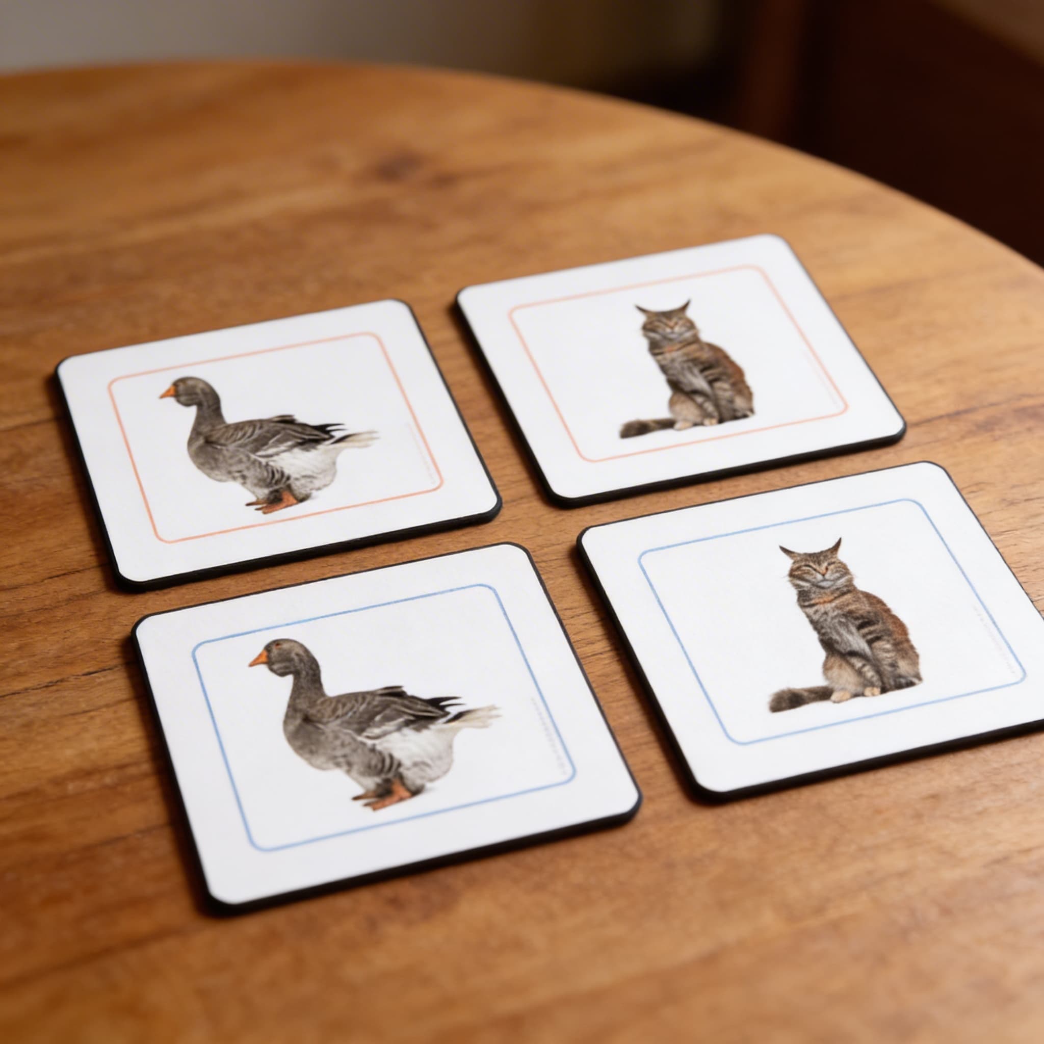 Přiřazovací pracovní karty domácích zvířat — Detailní pohled