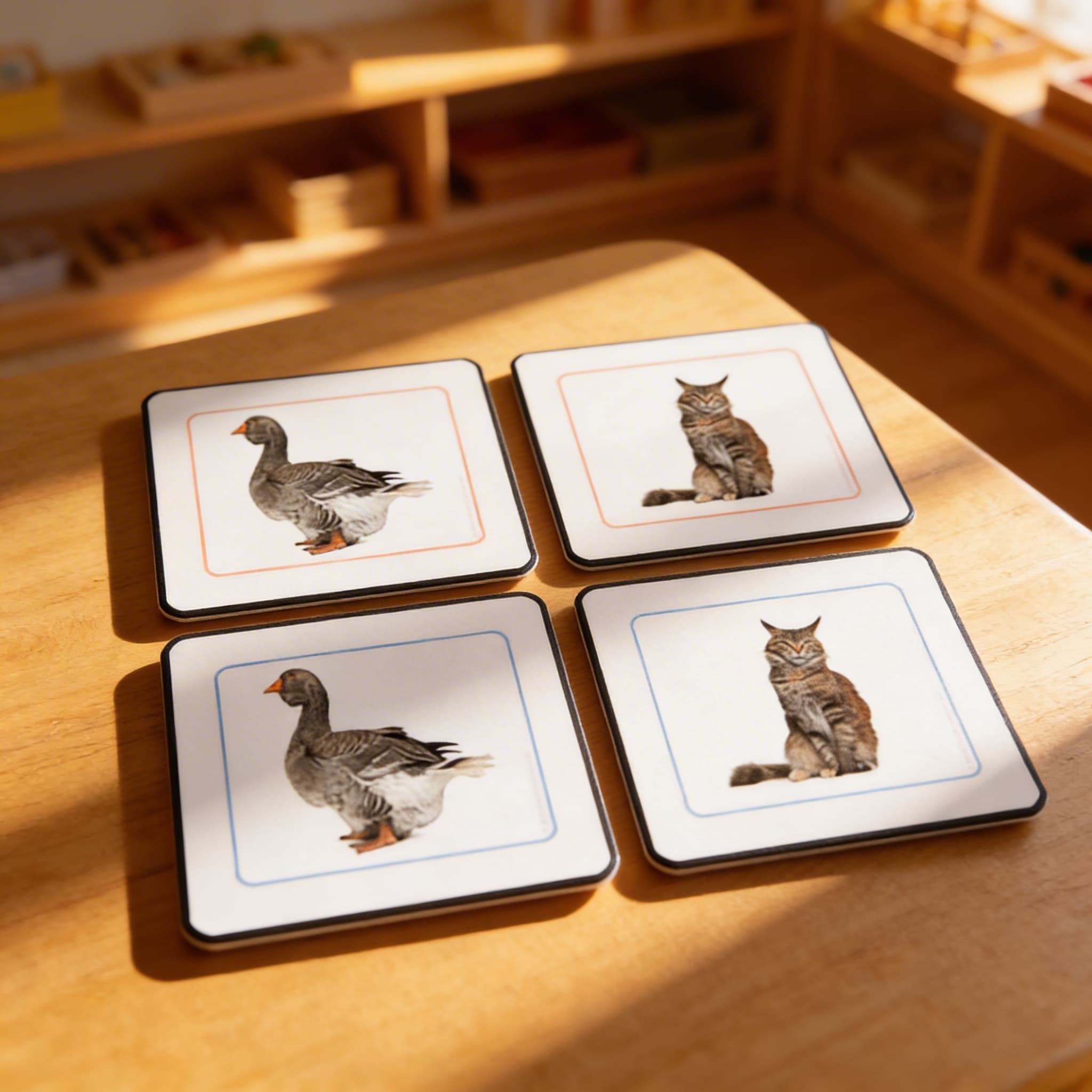 Přiřazovací pracovní karty domácích zvířat — Při použití