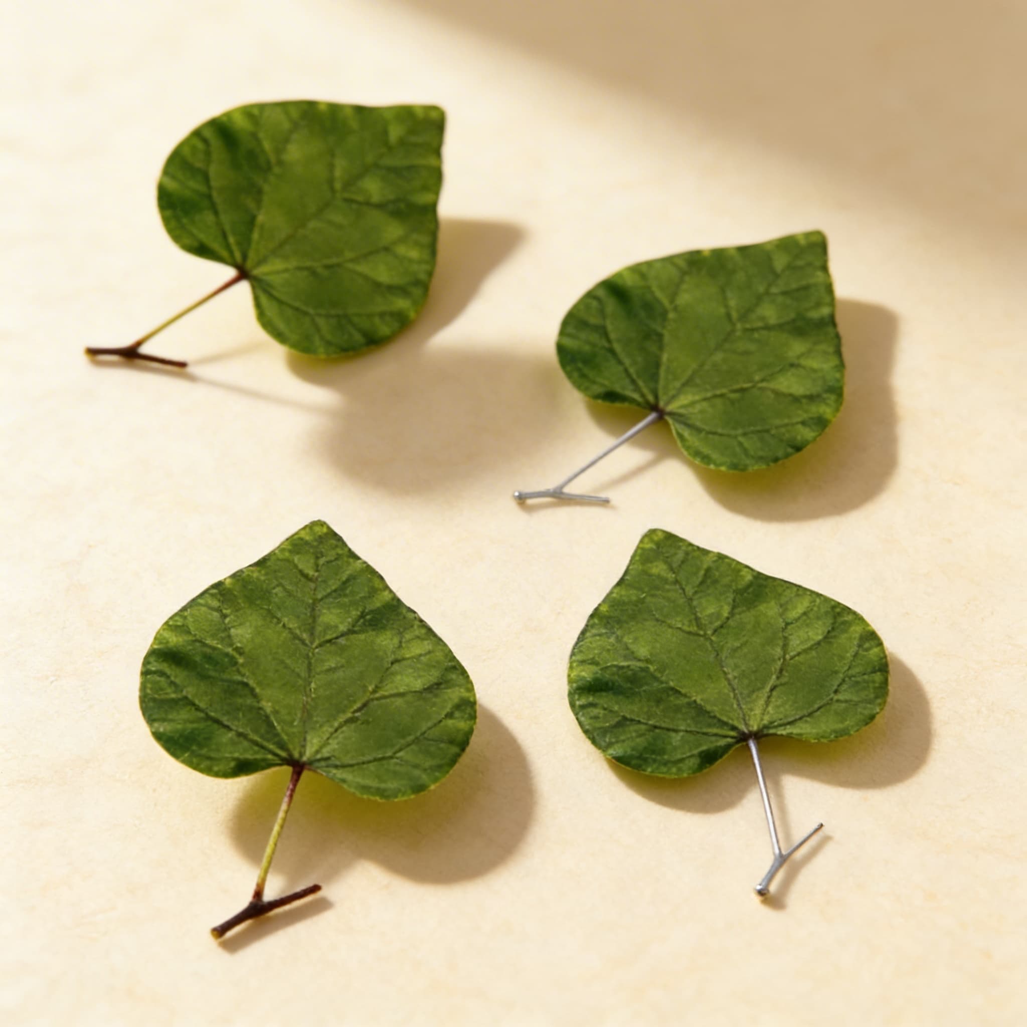 Teile eines Blattes (Spanisch) — Ansicht 2