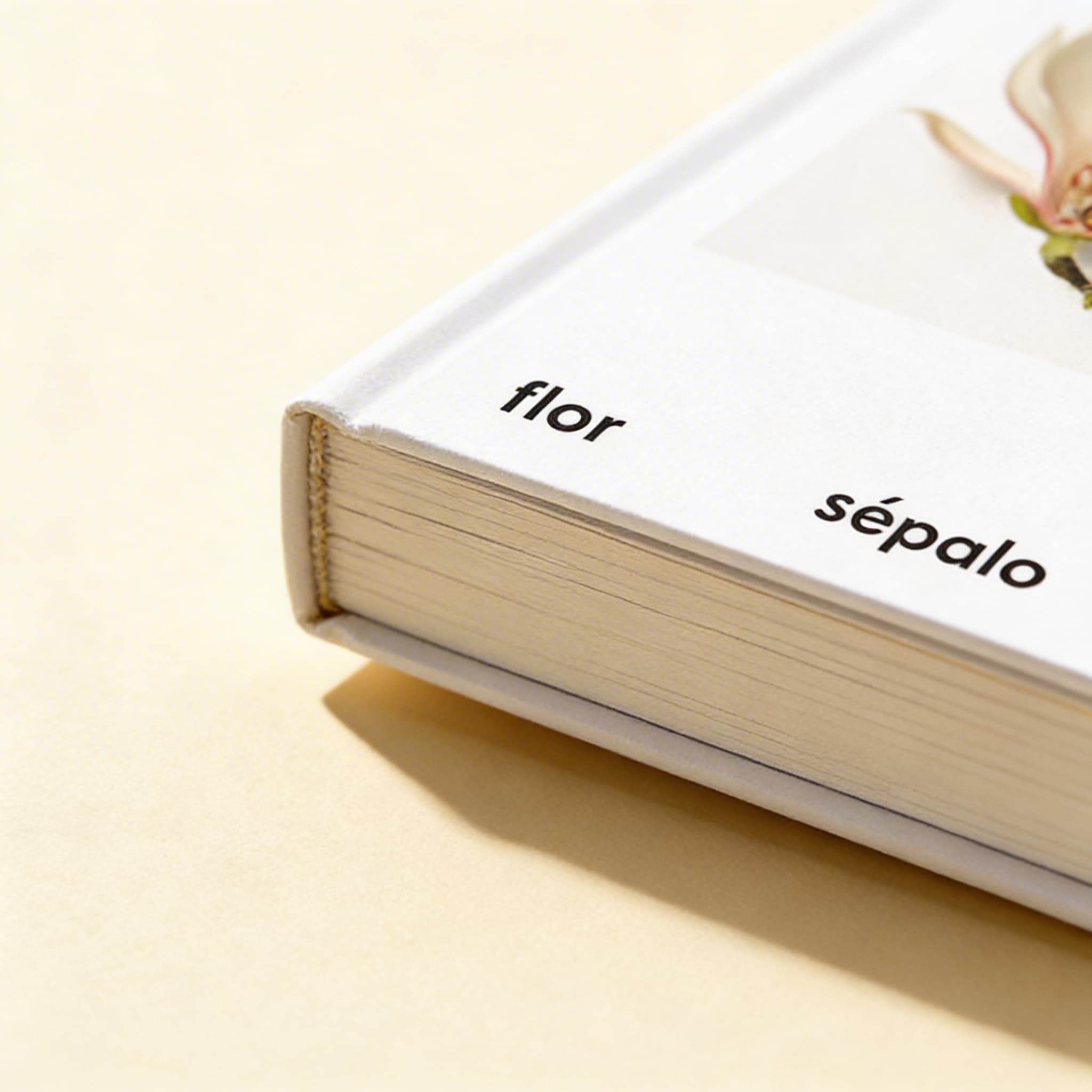 Části květiny — botanické karty (španělsky) — Katalogový pohled